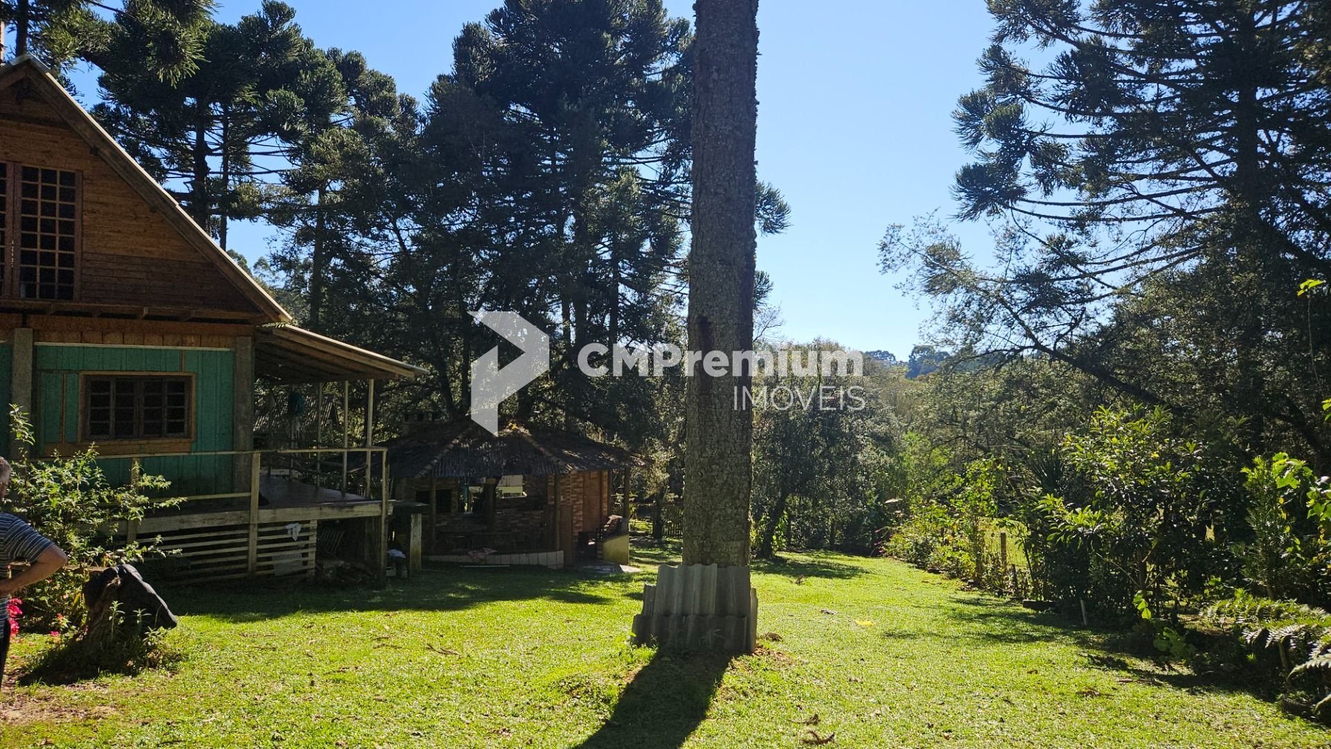 Chácara com 4 dormitórios à venda, 3400 m  por R  394.000 -Col...