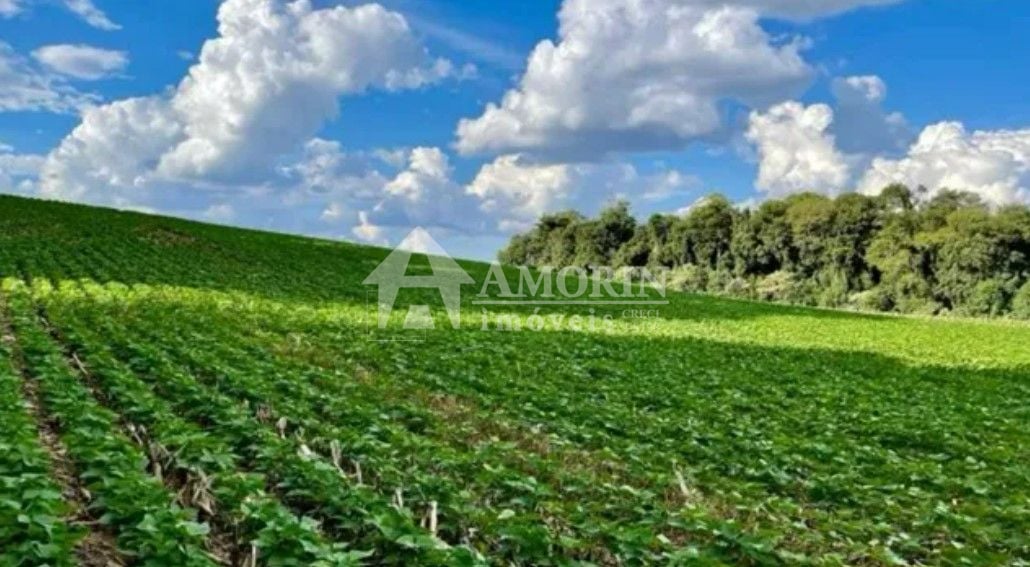 Chácara à venda, 23600 m  por R  649.000,00 - Barigui - Araucá...