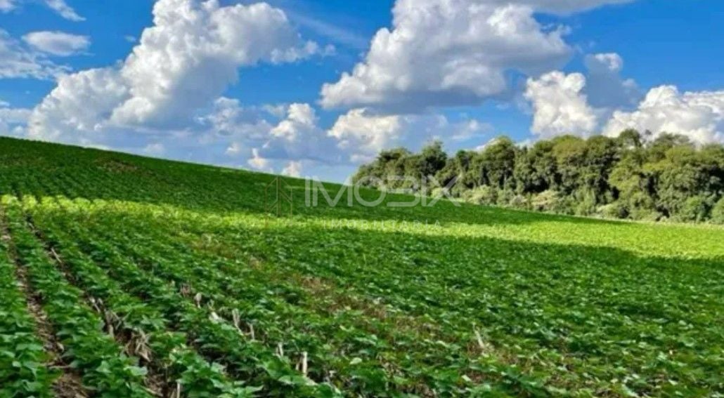 Chácara à venda, 23600 m  por R  649.000,00 - Barigui - Araucá...