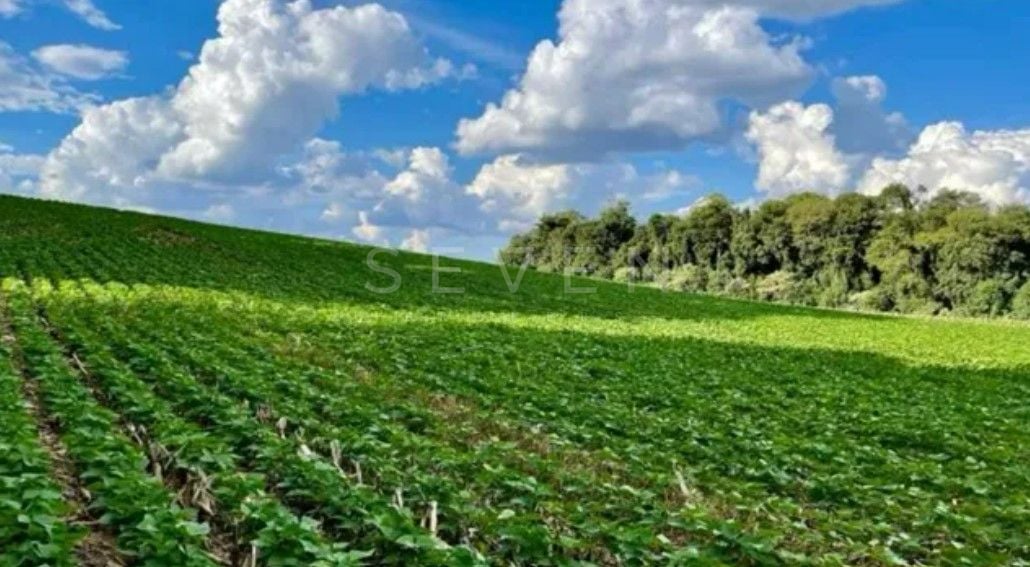 Chácara à venda, 23600 m  por R  649.000,00 - Barigui - Araucá...
