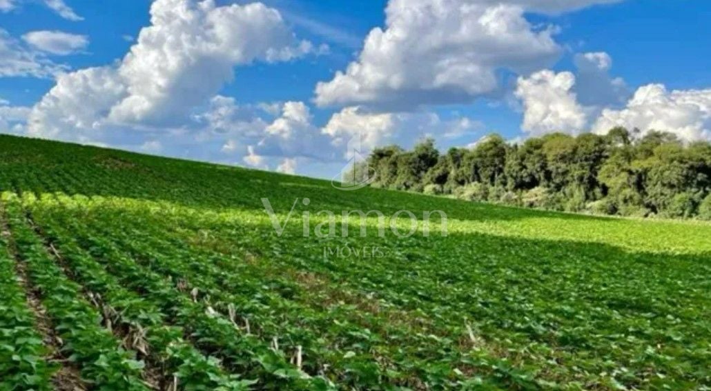 Chácara à venda, 23600 m  por R  649.000,00 - Barigui - Araucá...