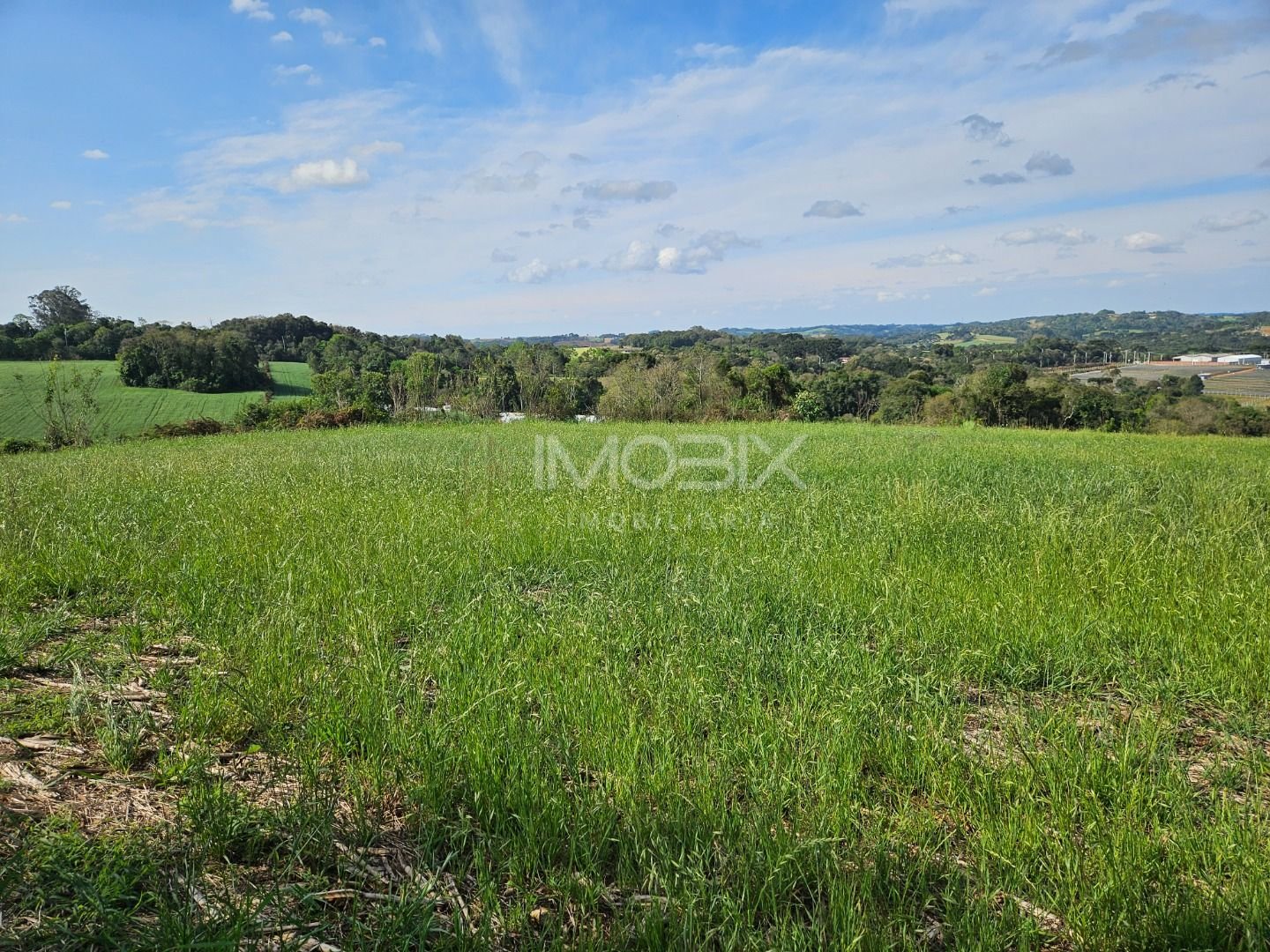 Chácara à venda, 23000 m  por R  575.000,00 - Zona Rural - Ara...