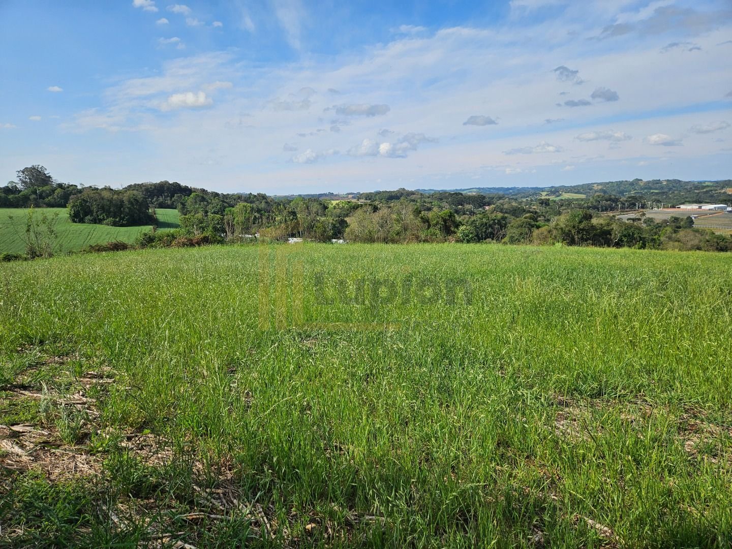 Chácara em Araucária  Refúgio de Lazer ou Moradia Próxima à Ci...
