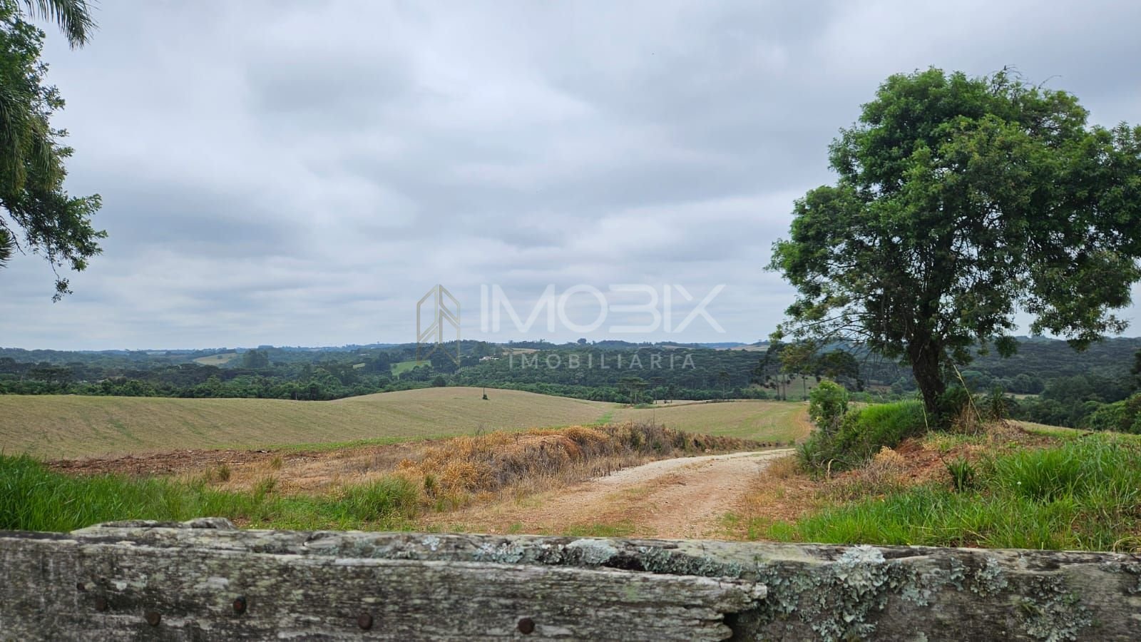 Fazenda com 3 dormitórios à venda, 1694000 m  por R  24.500.00...