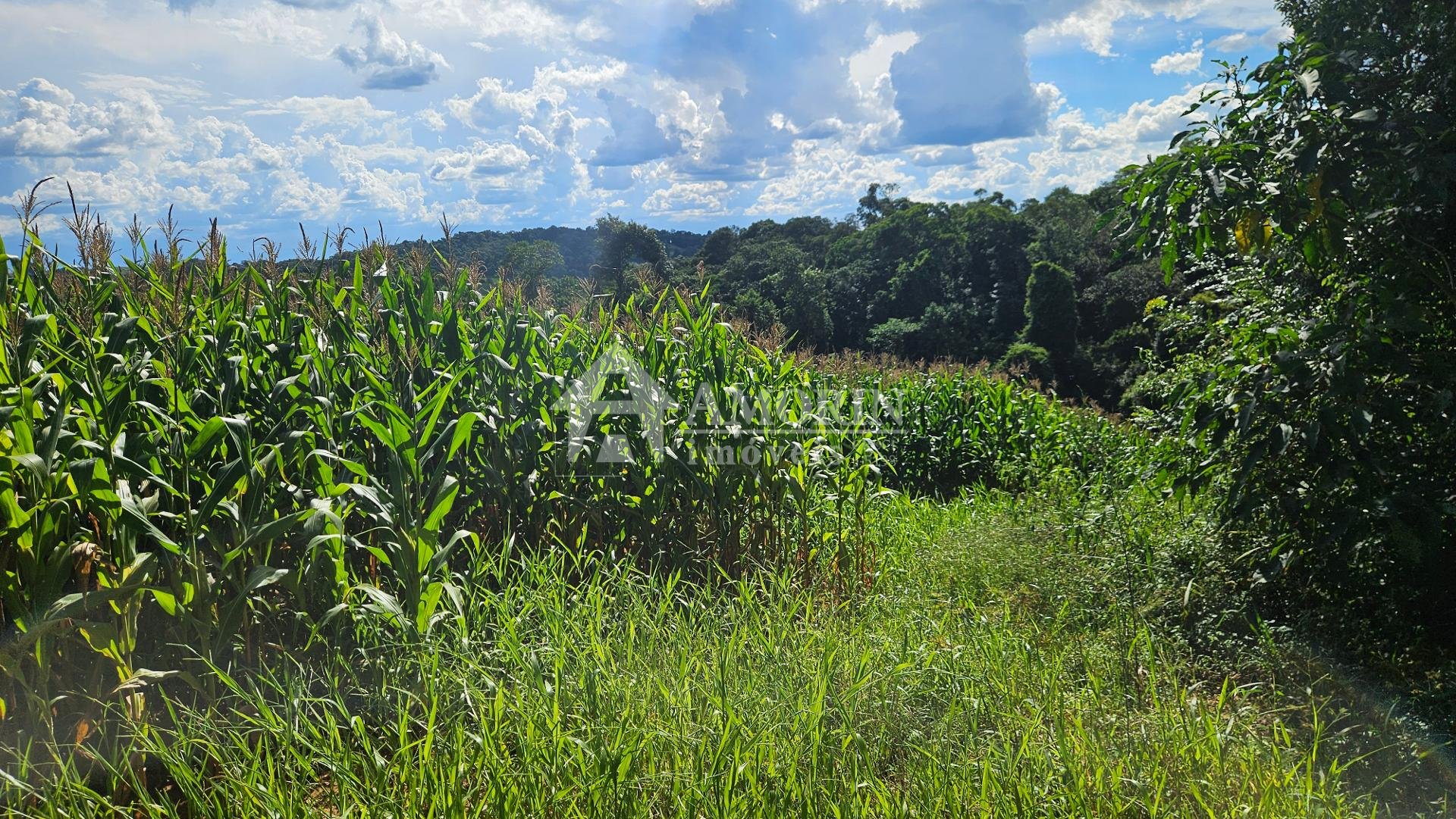Chácara à venda, 36400m   em Catanduvas Do Sul - PR Zona rural...