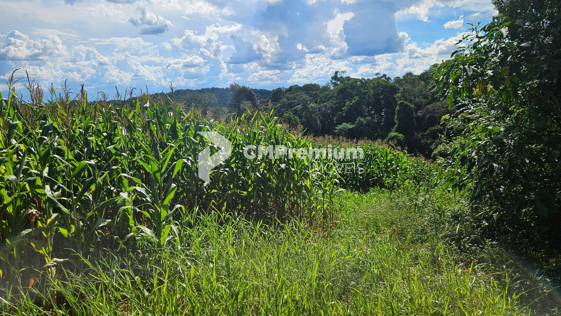 Chácara à venda, 36400m   em Catanduvas Do Sul - PR Zona rural...