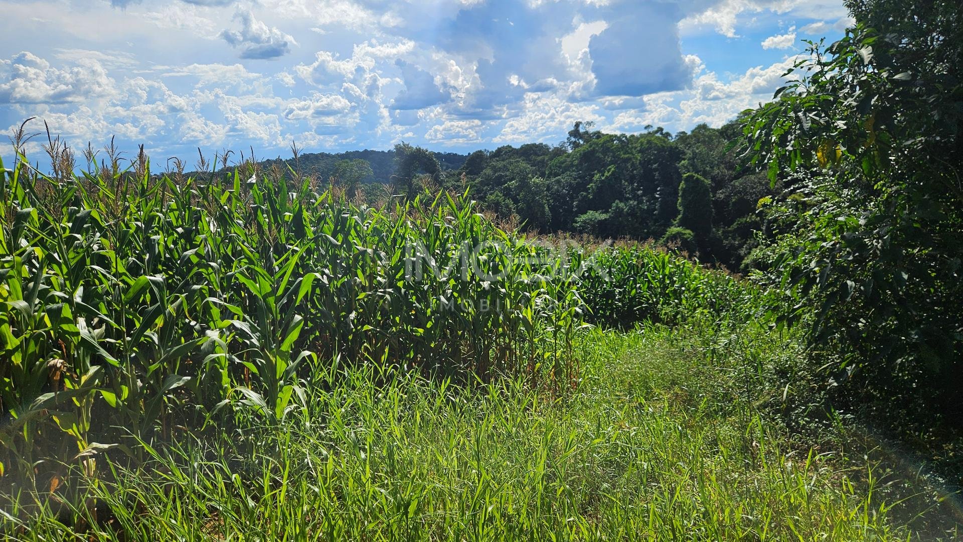 Chácara à venda, 36400m   em Catanduvas Do Sul - PR Zona rural...