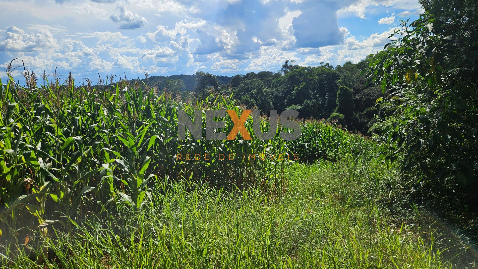 Chácara à venda, 36400m   em Catanduvas Do Sul - PR Zona rural...