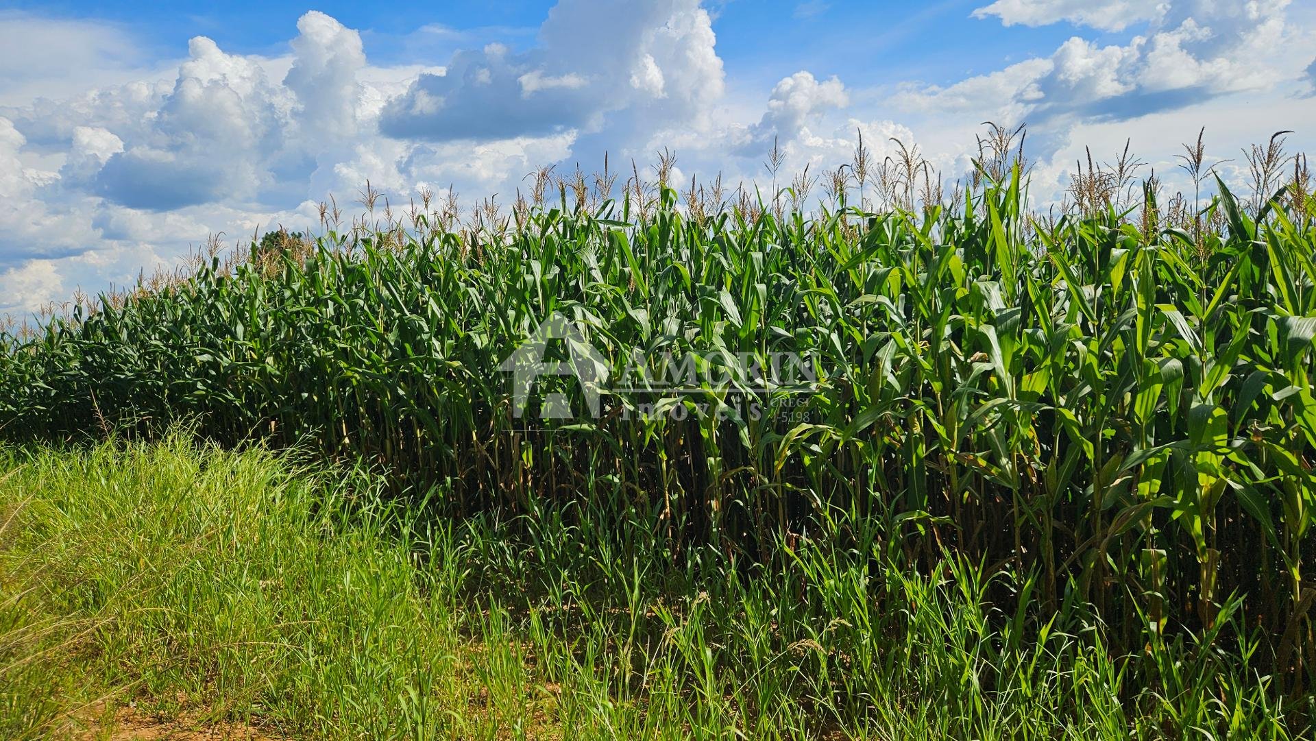 Chácara à venda, 36400m   em Catanduvas Do Sul - PR Zona rural...