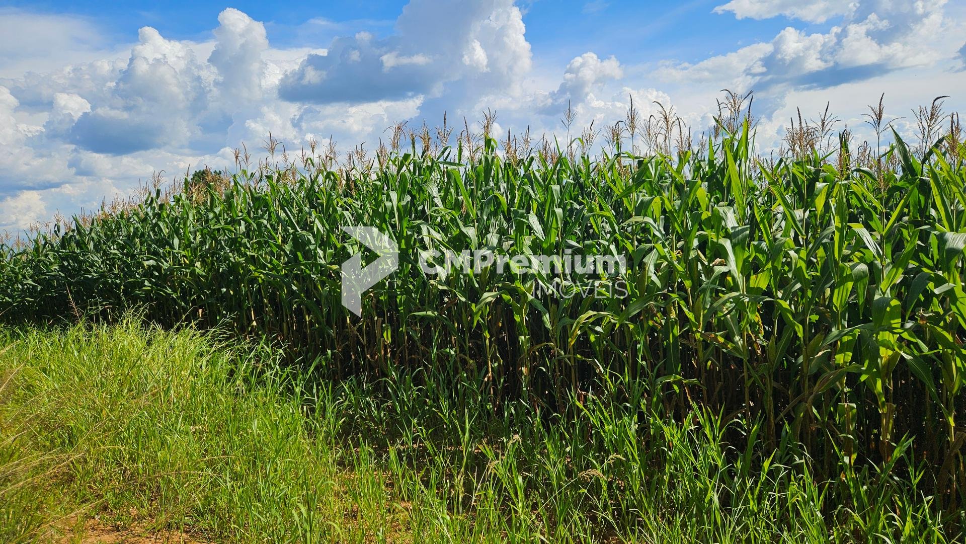Chácara à venda, 36400m   em Catanduvas Do Sul - PR Zona rural...
