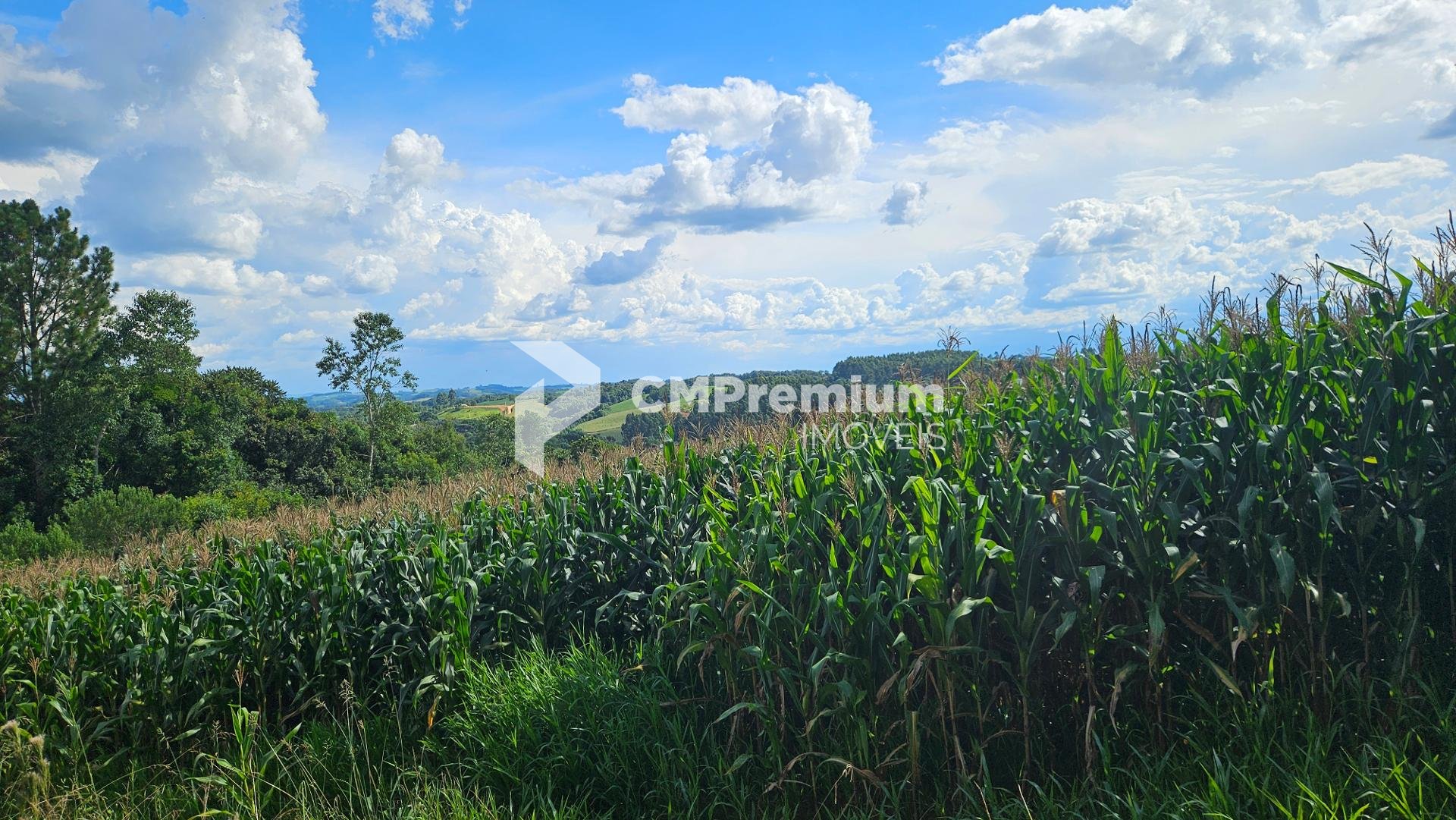 Chácara à venda, 36400m   em Catanduvas Do Sul - PR Zona rural...