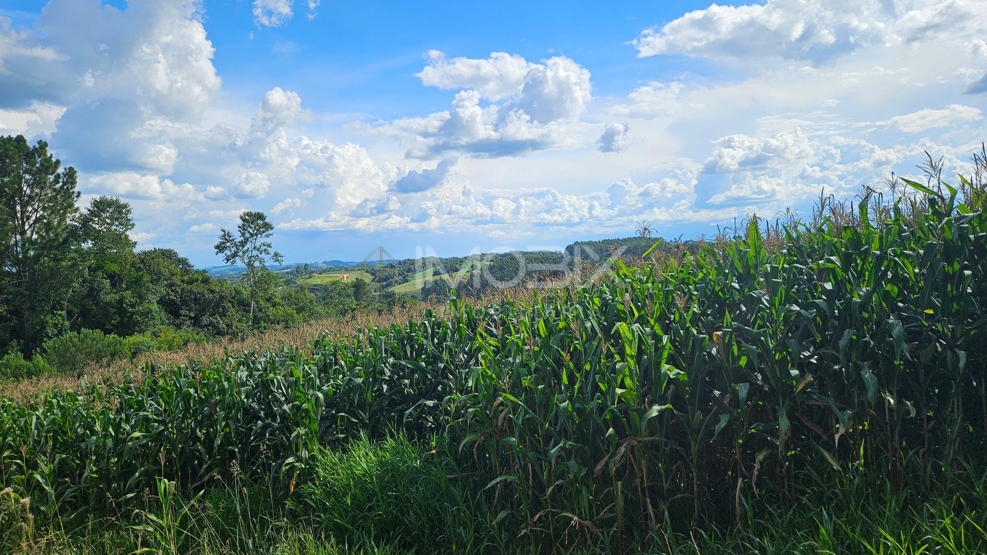 Chácara à venda, 36400m   em Catanduvas Do Sul - PR Zona rural...