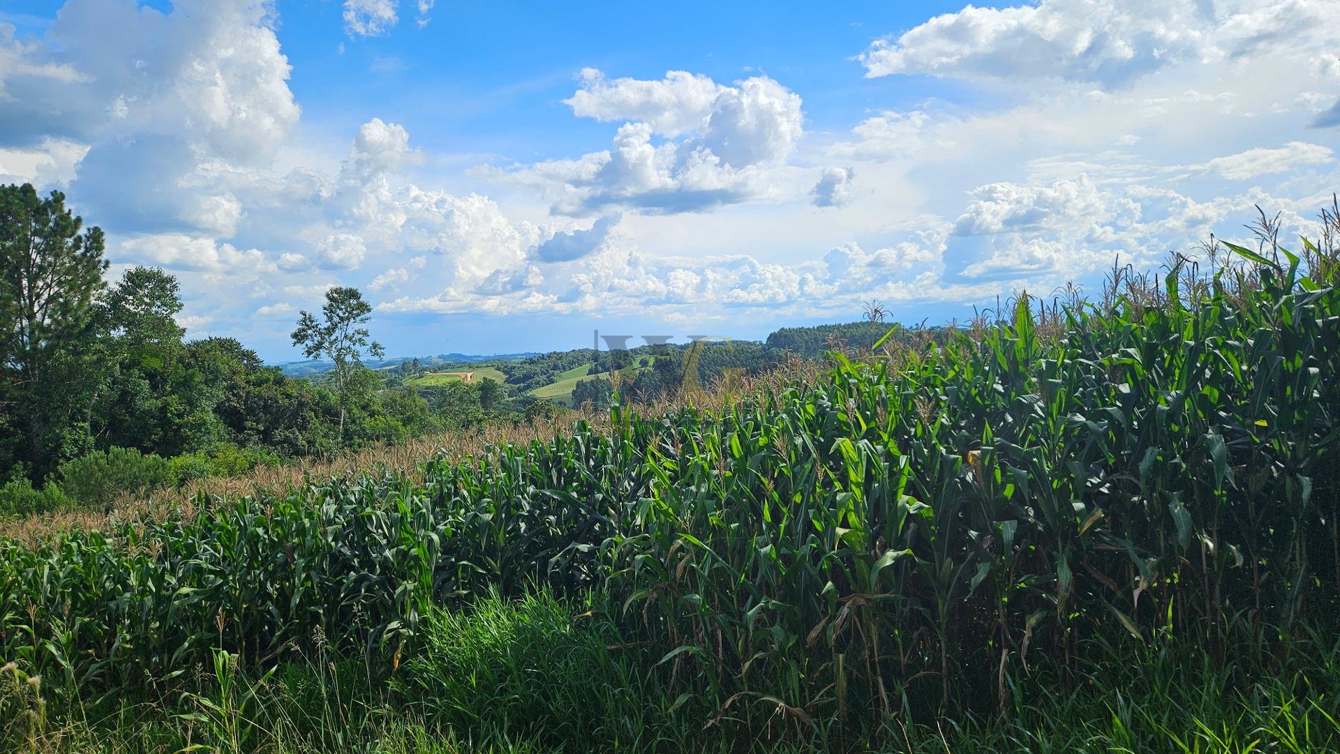 Chácara à venda, 36400m   em Catanduvas Do Sul - PR Zona rural...