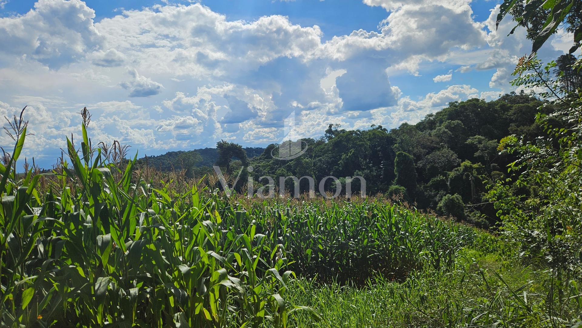 Chácara à venda, 36400m   em Catanduvas Do Sul - PR Zona rural...