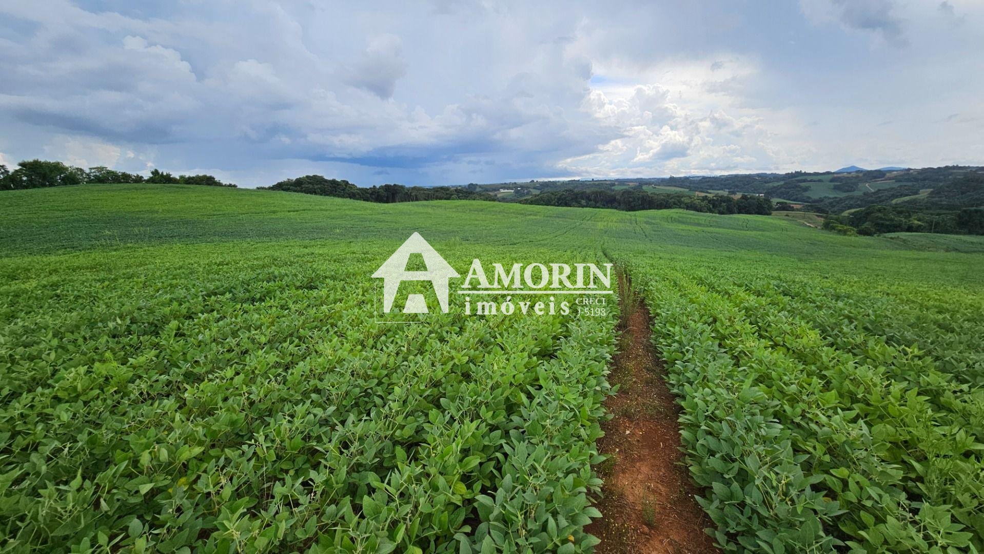 Área Rural com 48400m  ,  2,7 km do centro de  Campo Magro - PR