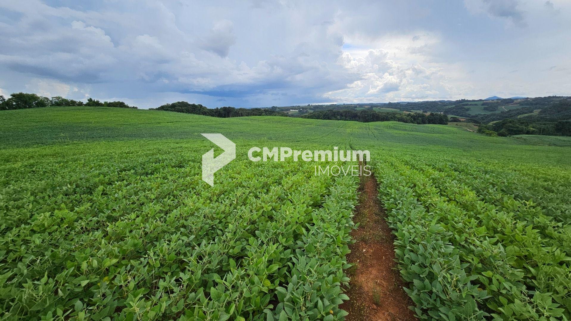Área Rural com 48400m  ,  2,7 km do centro de  Campo Magro - PR