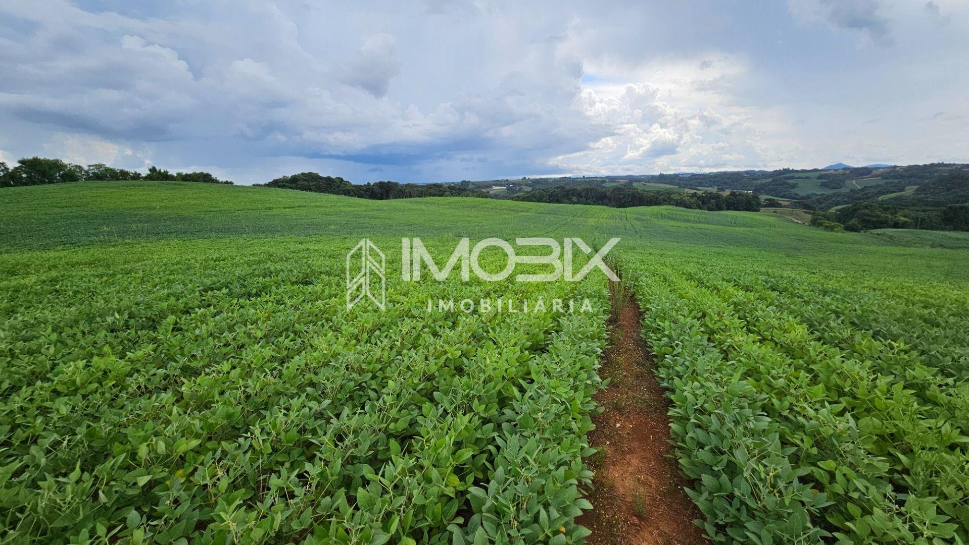 Área Rural com 48400m  ,  2,7 km do centro de  Campo Magro - PR