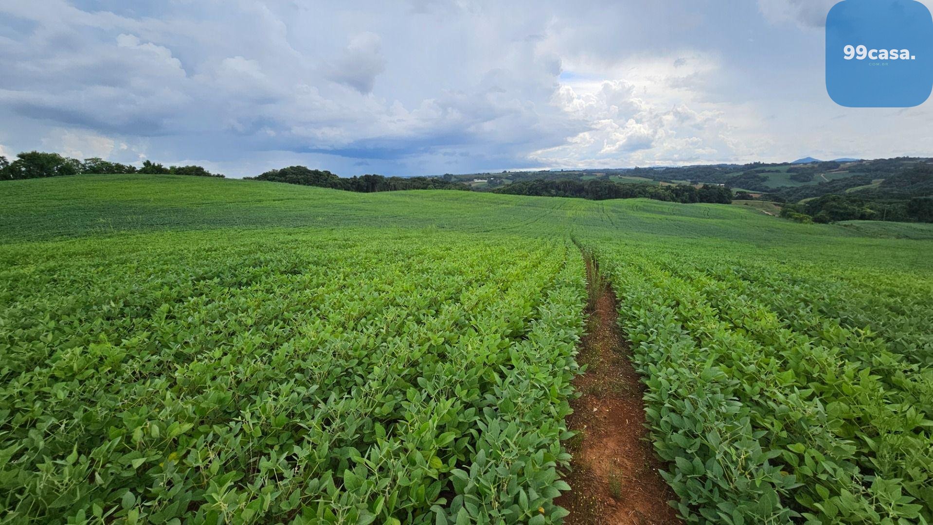 Área Rural com 48400m  ,  2,7 km do centro de  Campo Magro - PR