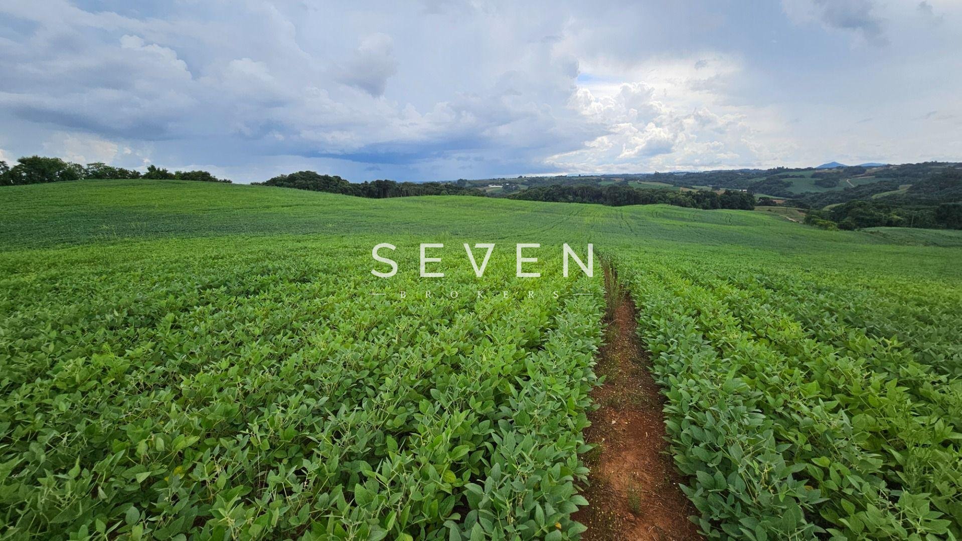 Área Rural com 48400m  ,  2,7 km do centro de  Campo Magro - PR