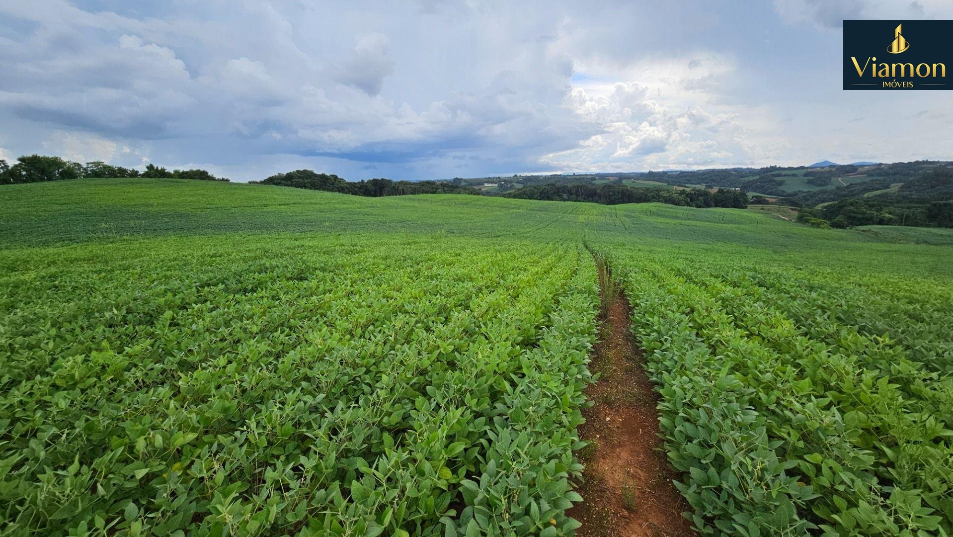 Área Rural com 48400m  ,  2,7 km do centro de  Campo Magro - PR