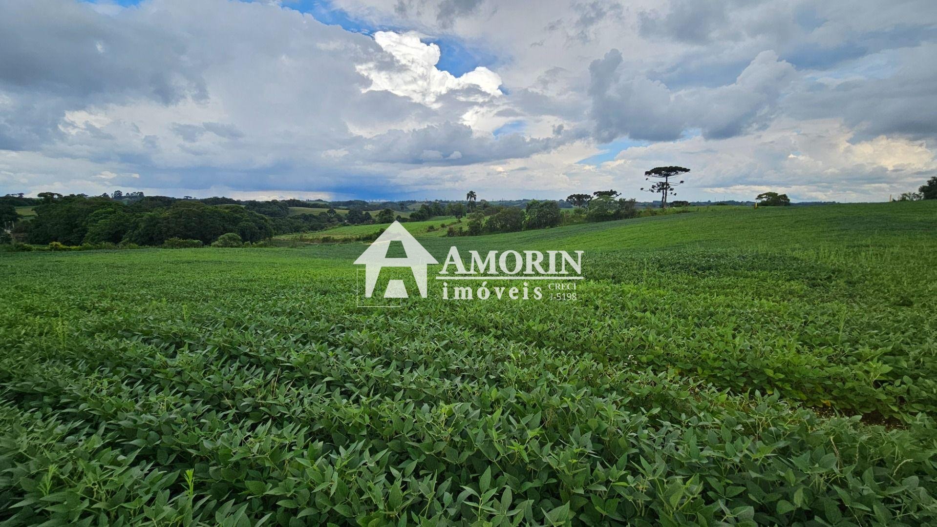 Área Rural com 48400m  ,  2,7 km do centro de  Campo Magro - PR