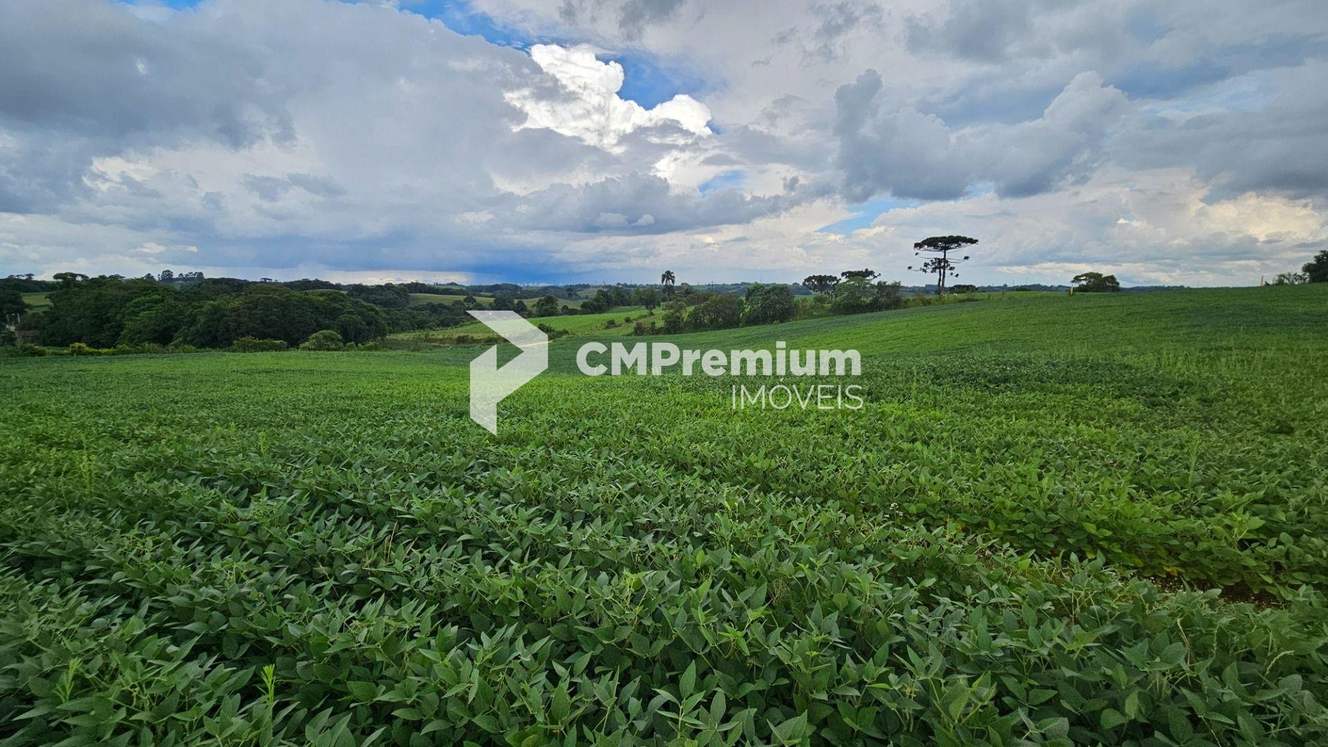 Área Rural com 48400m  ,  2,7 km do centro de  Campo Magro - PR