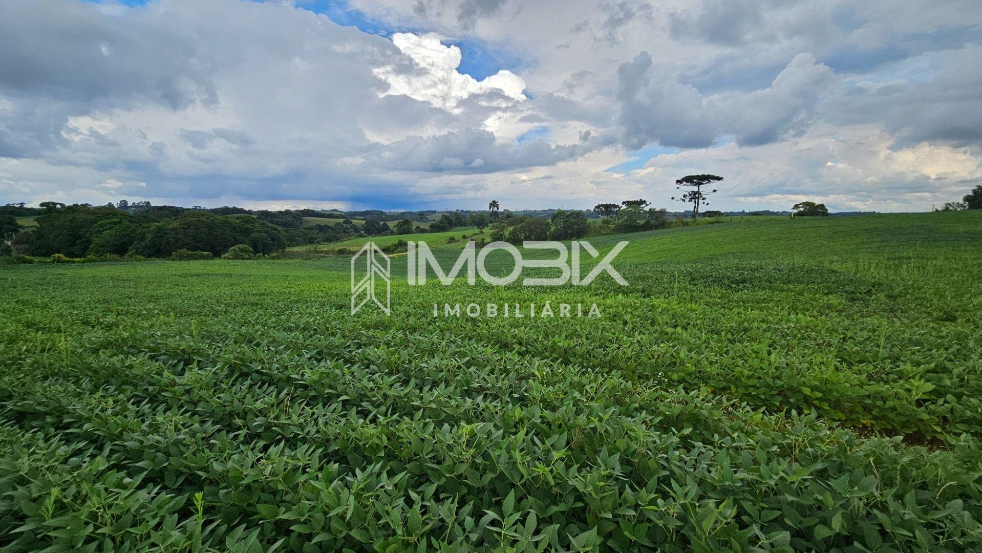 Área Rural com 48400m  ,  2,7 km do centro de  Campo Magro - PR