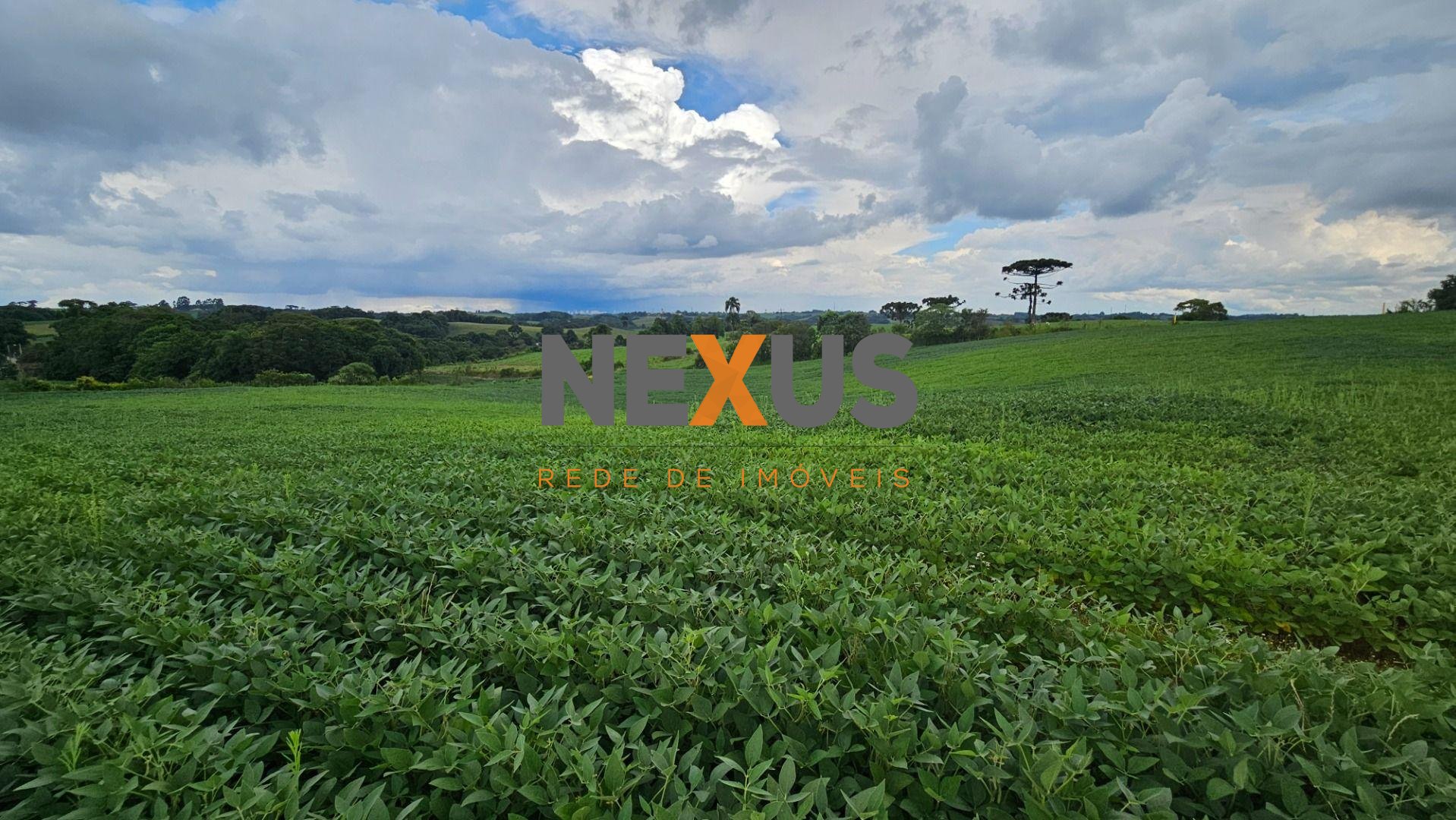 Área Rural com 48400m  ,  2,7 km do centro de  Campo Magro - PR