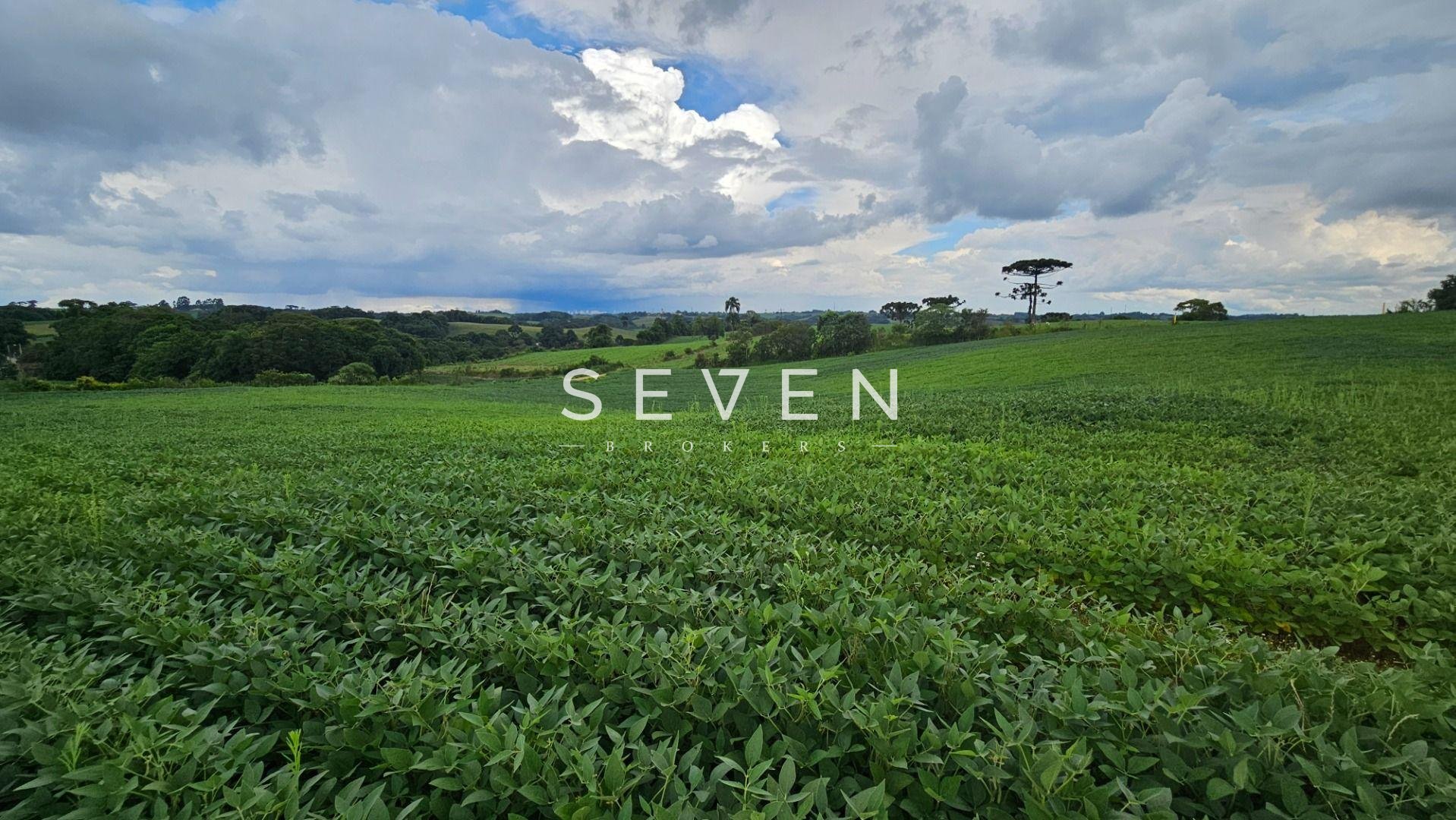 Área Rural com 48400m  ,  2,7 km do centro de  Campo Magro - PR