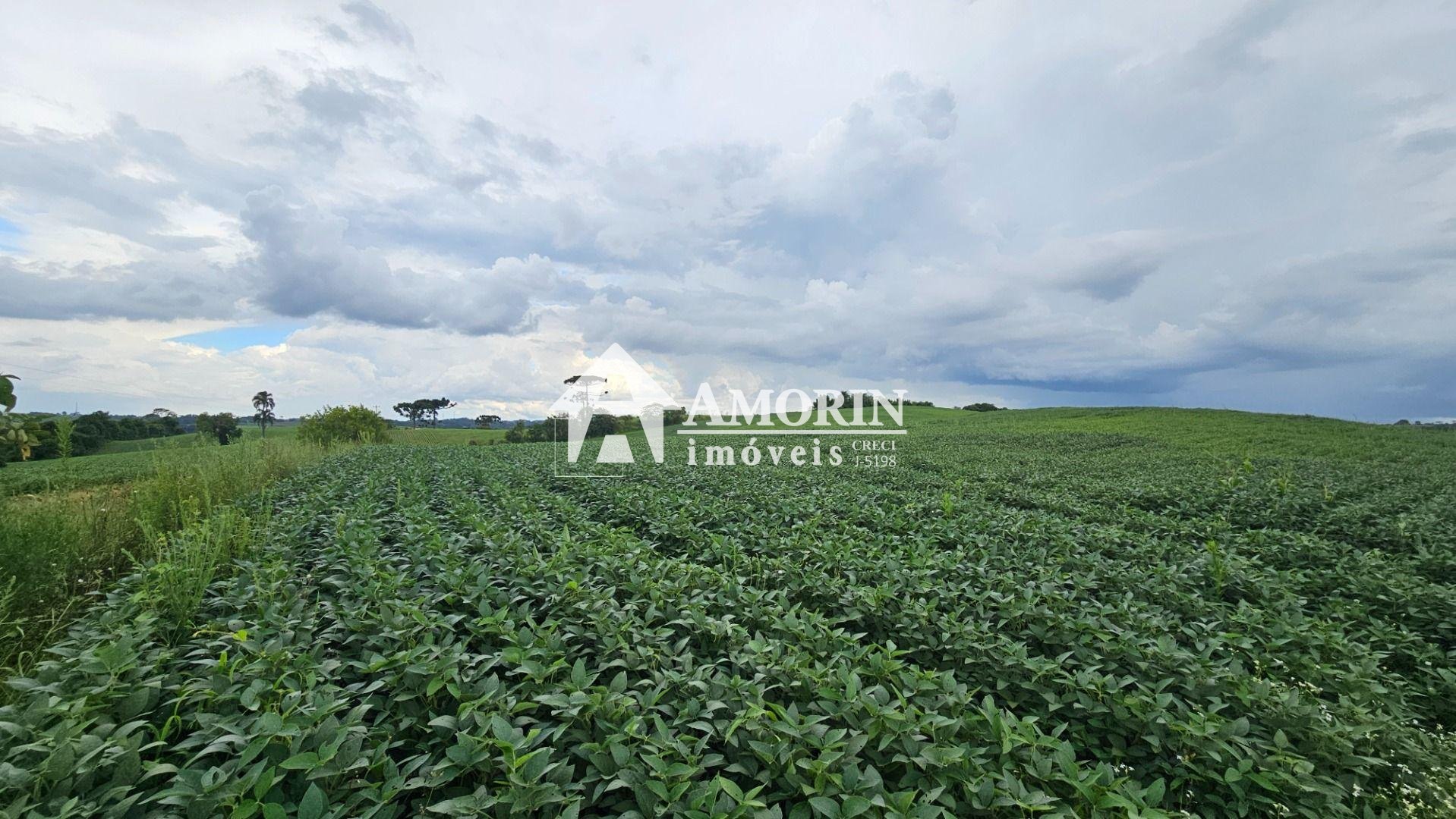 Área Rural com 48400m  ,  2,7 km do centro de  Campo Magro - PR