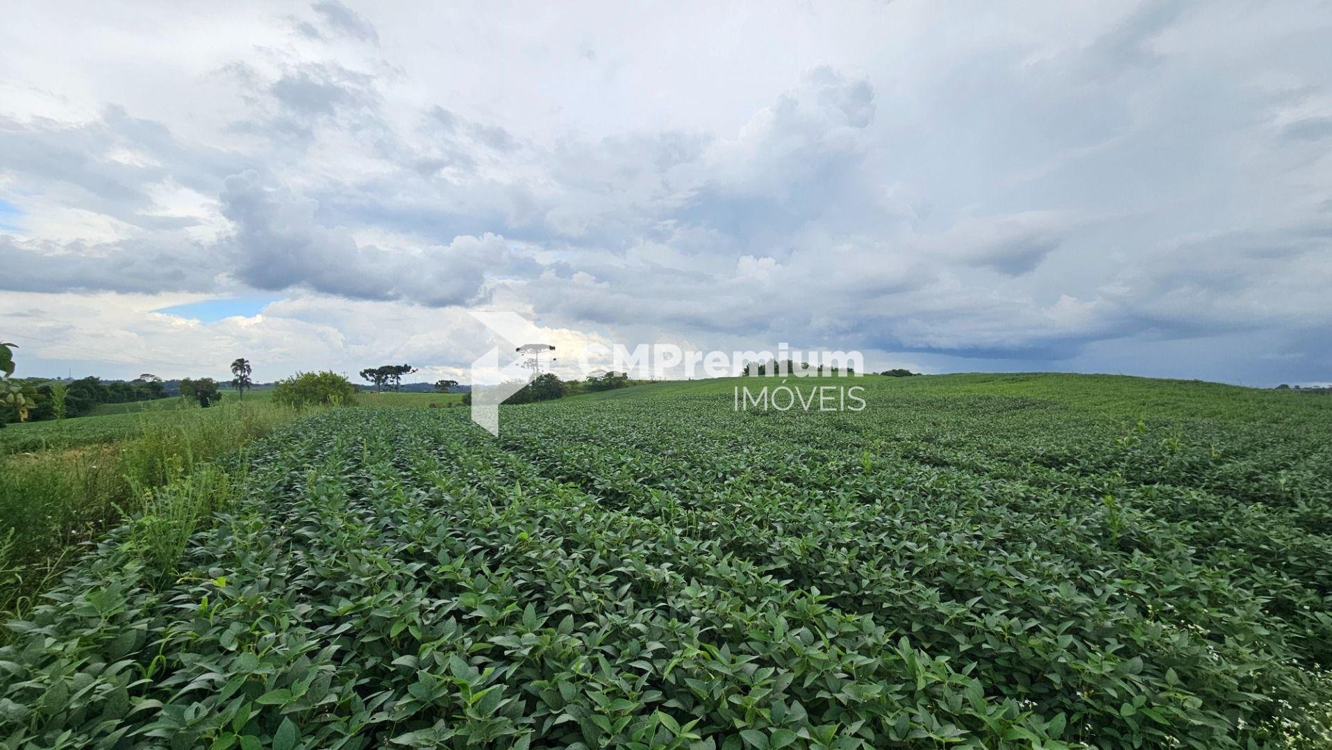Área Rural com 48400m  ,  2,7 km do centro de  Campo Magro - PR