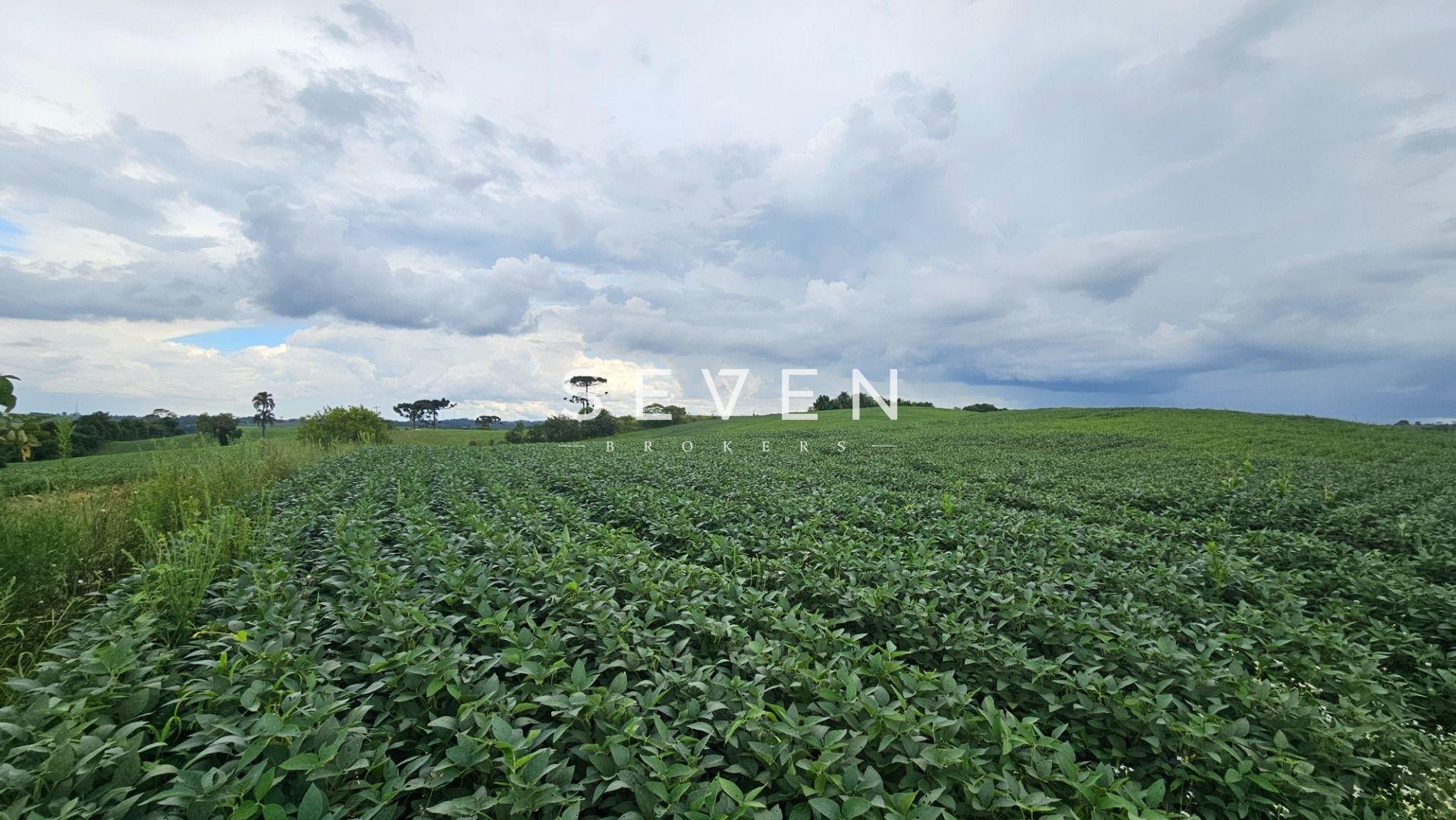 Área Rural com 48400m  ,  2,7 km do centro de  Campo Magro - PR