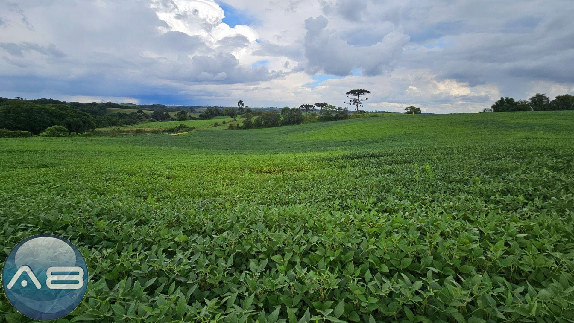 ?rea Rural com 48400m  ,  2,7 km do centro de  Campo Magro - PR