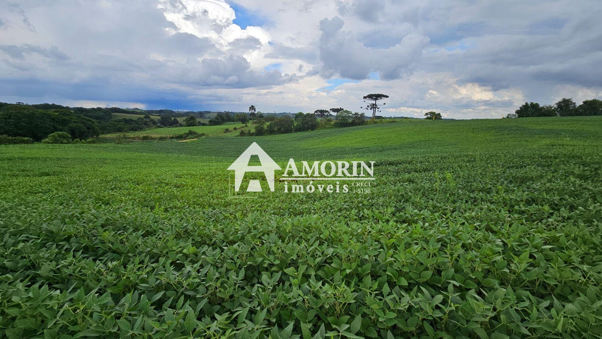 Área Rural com 48400m  ,  2,7 km do centro de  Campo Magro - PR