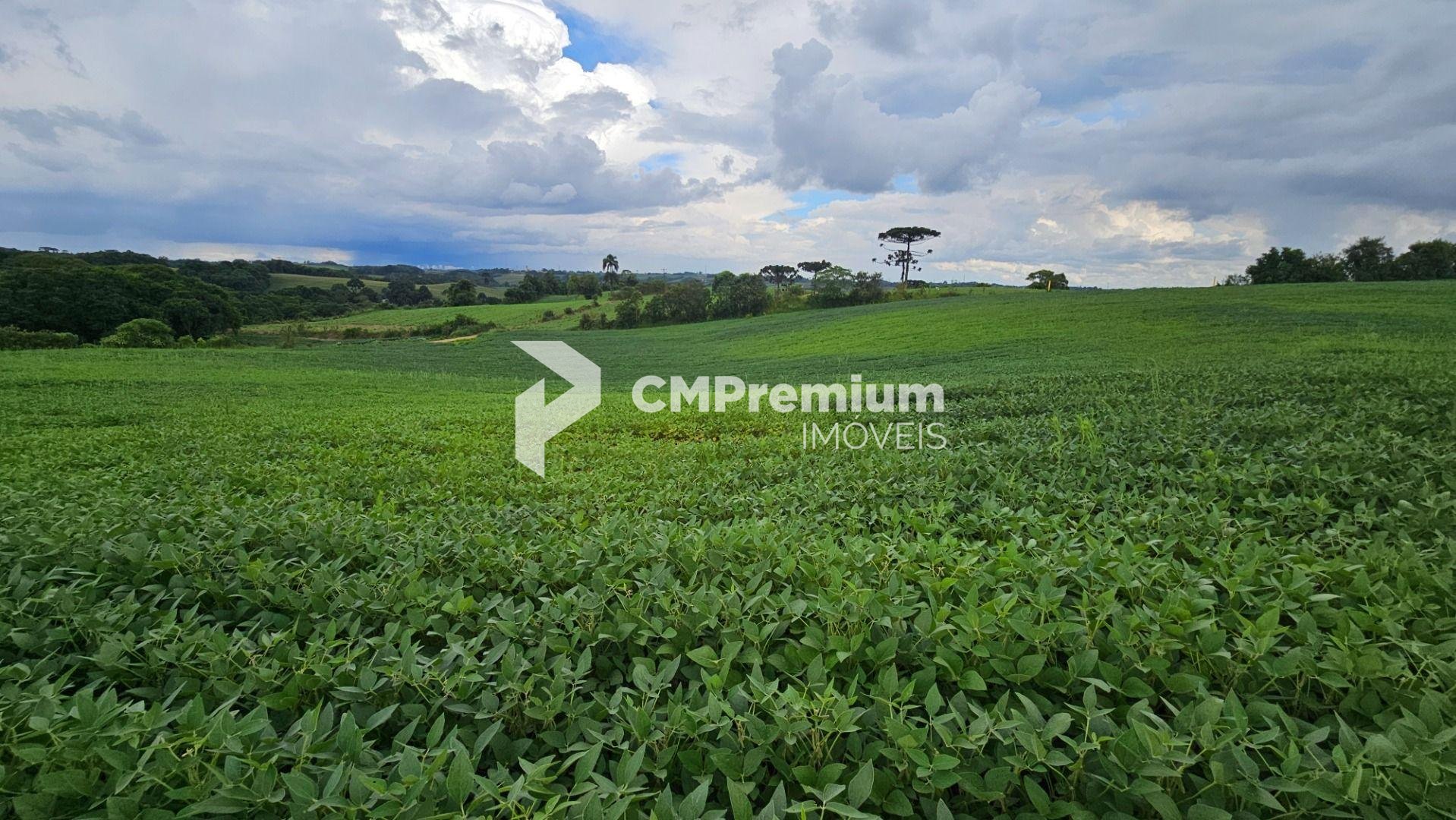 Área Rural com 48400m  ,  2,7 km do centro de  Campo Magro - PR