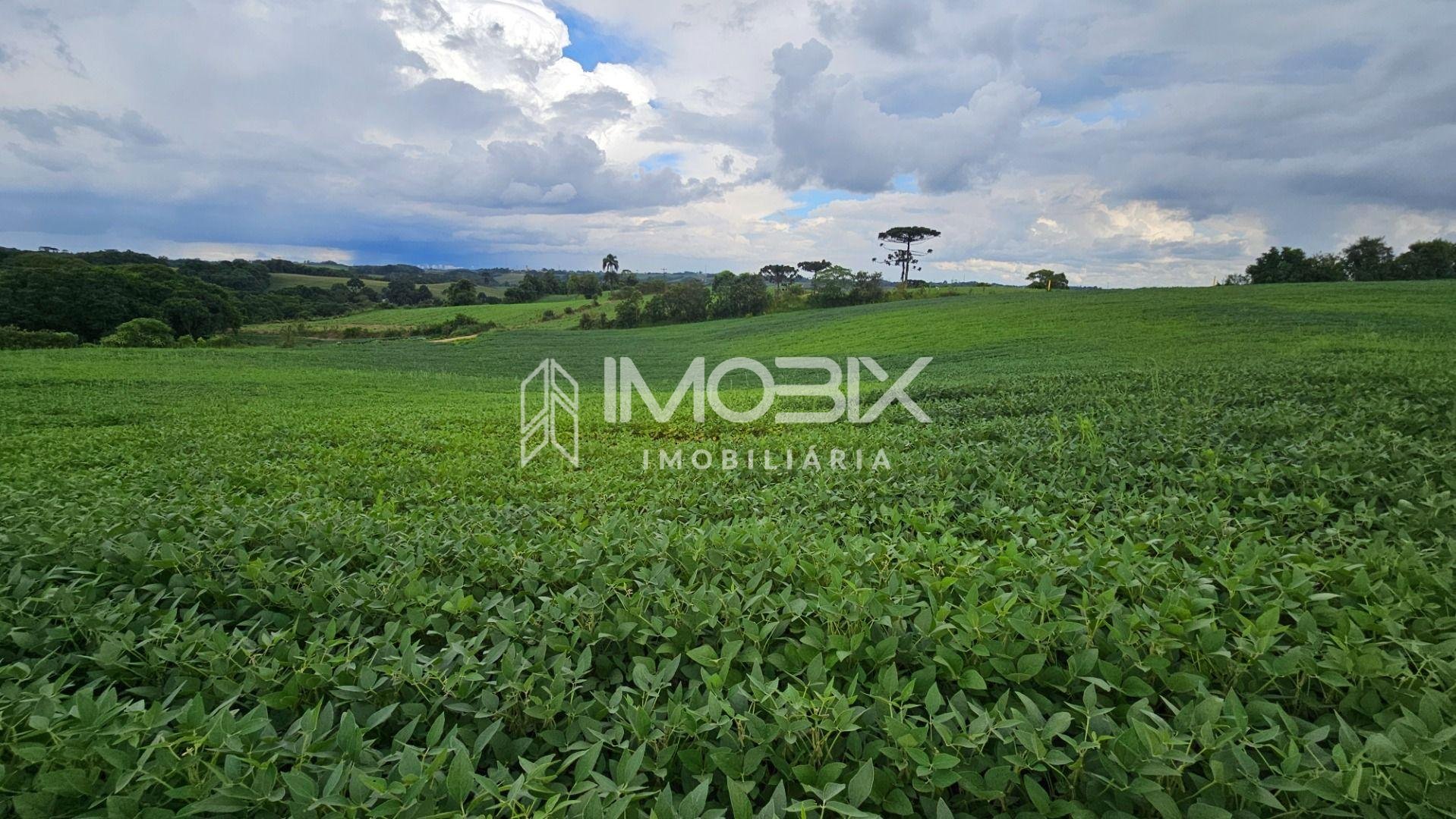 Área Rural com 48400m  ,  2,7 km do centro de  Campo Magro - PR