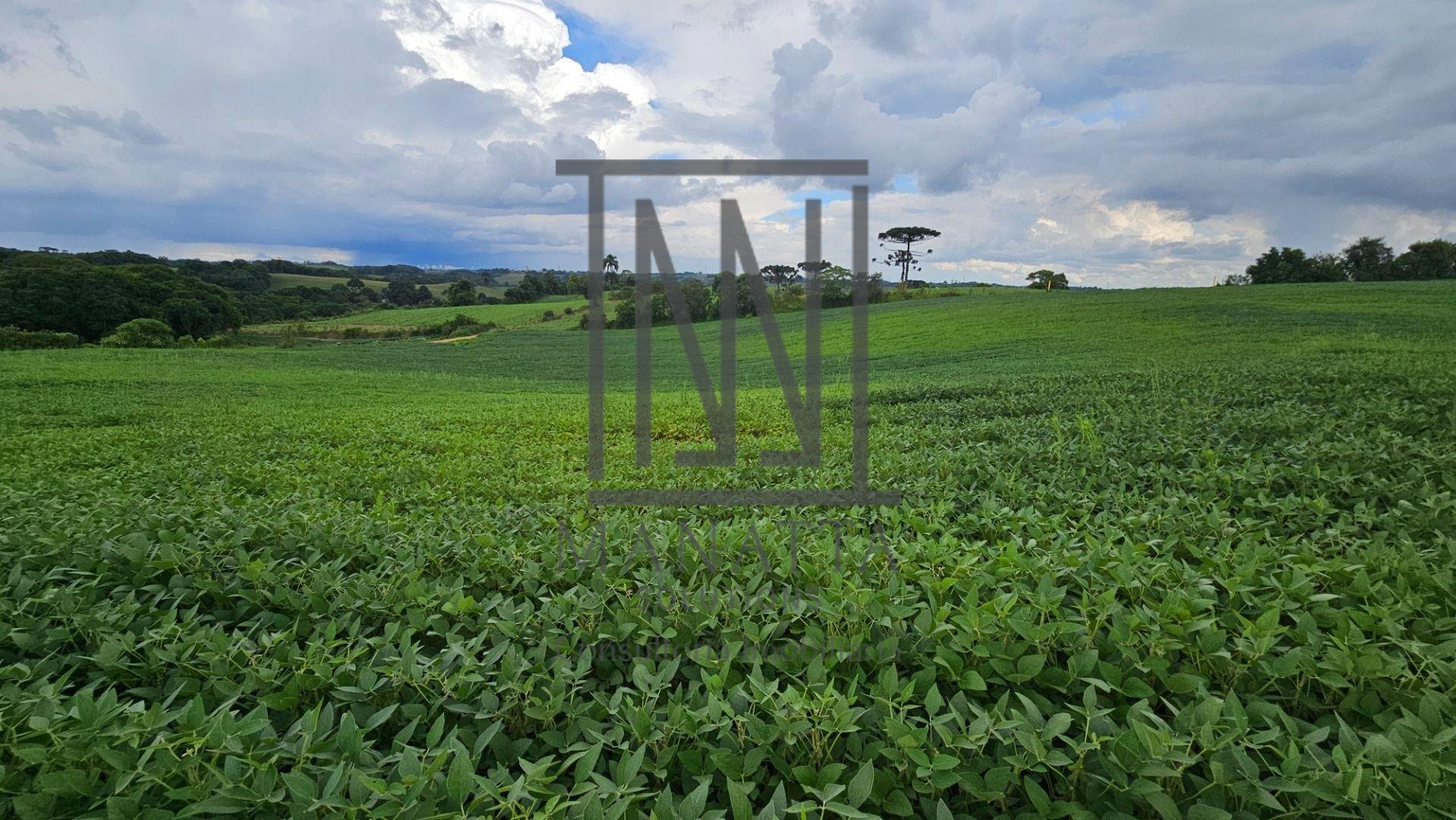 Área Rural com 48400m  ,  2,7 km do centro de  Campo Magro - PR