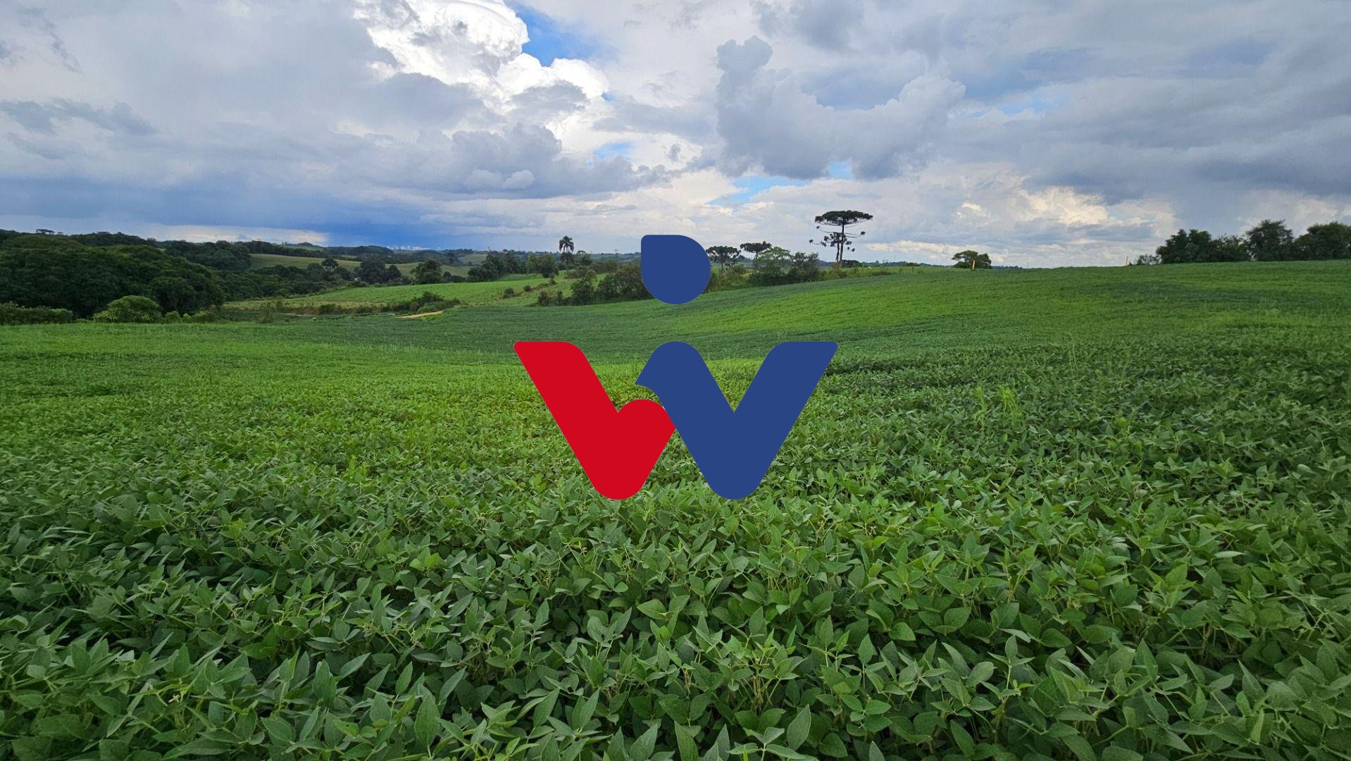 Área Rural com 48400m  ,  2,7 km do centro de  Campo Magro - PR