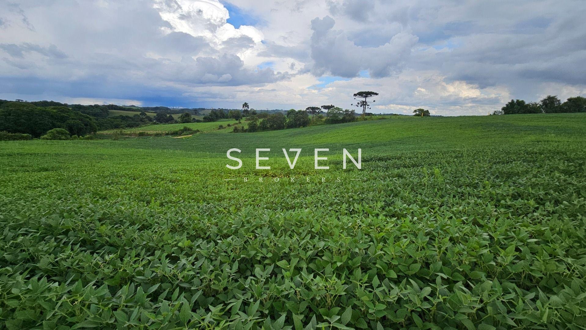 Área Rural com 48400m  ,  2,7 km do centro de  Campo Magro - PR