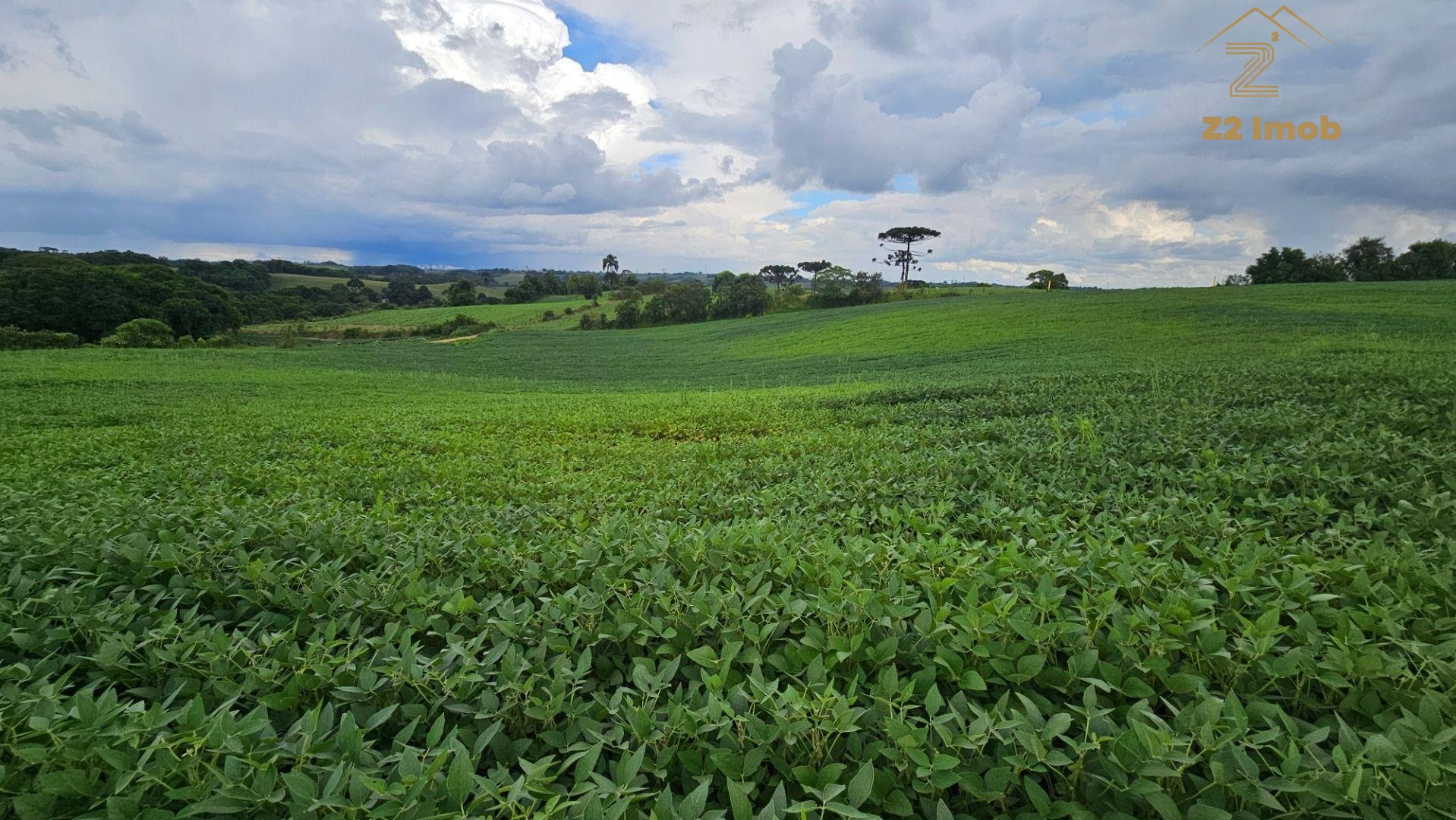 Área Rural com 48400m  ,  2,7 km do centro de  Campo Magro - PR