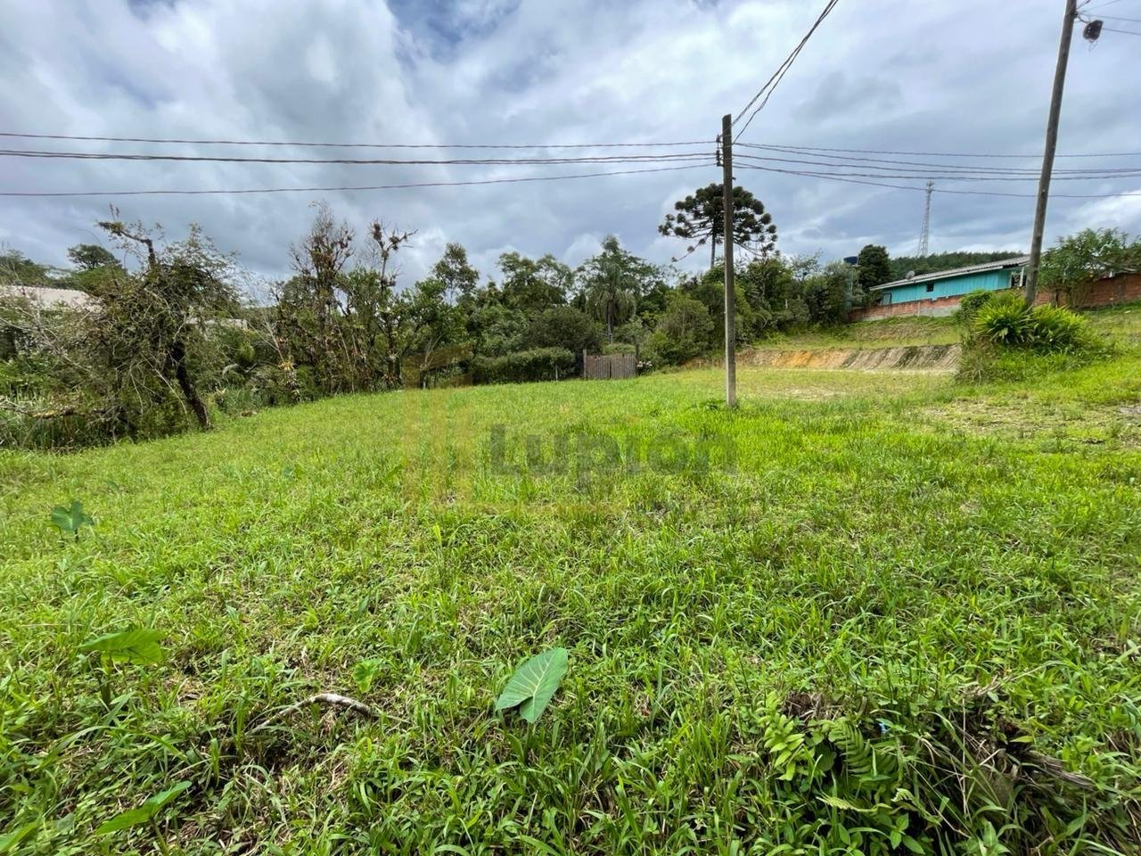 Terreno à venda, CAMPINA GRANDE DO SUL - PR