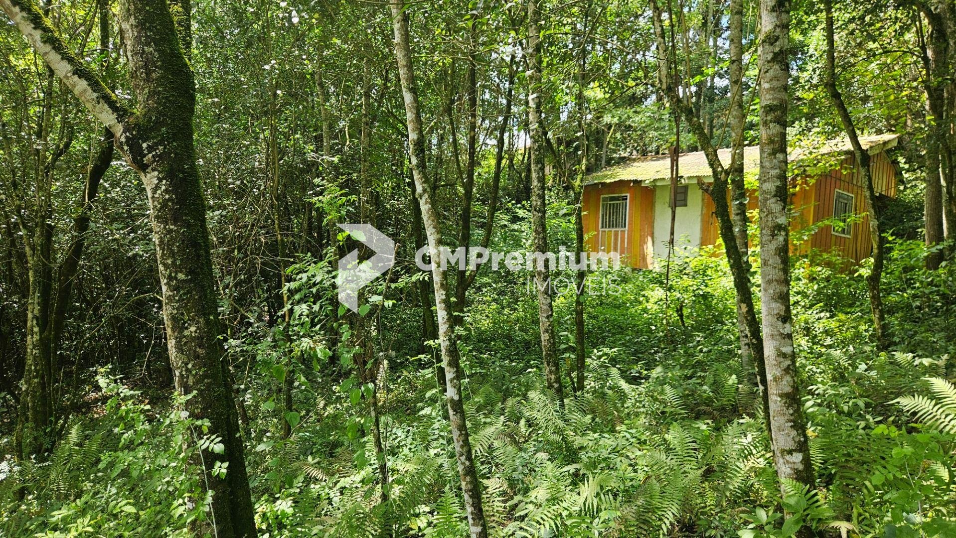 Chácara à venda, 11.000m  por R  980.000,00 São Miguel, ALMIRA...