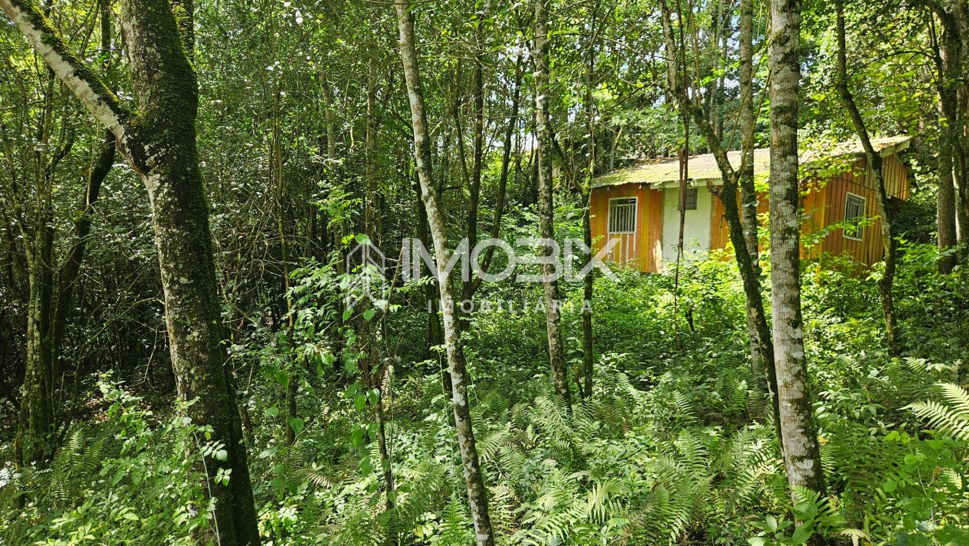 Chácara à venda, 11.000m  por R  980.000,00 São Miguel, ALMIRA...