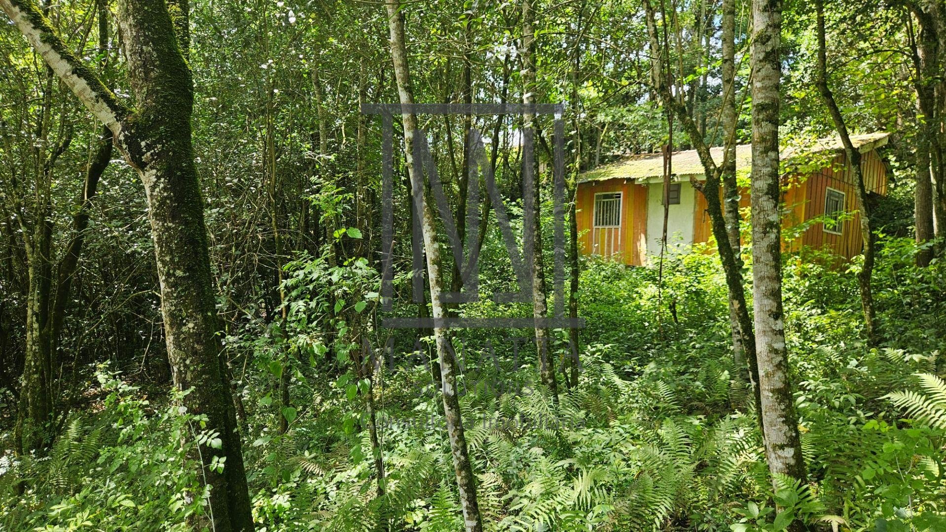 Chácara à venda, 11.000m  por R  980.000,00 São Miguel, ALMIRA...