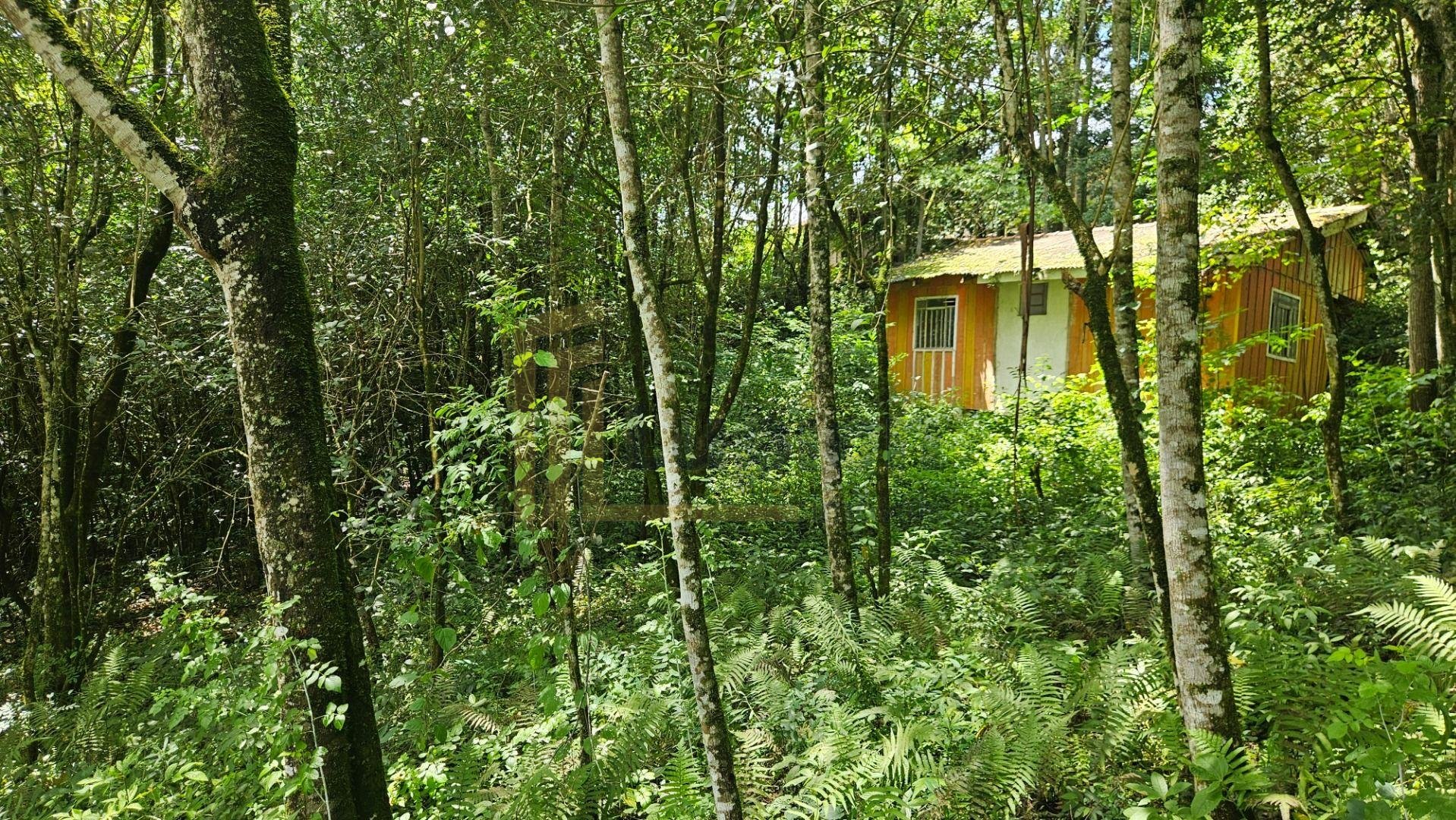 Chácara à venda, 11.000m  por R  980.000,00 São Miguel, ALMIRA...