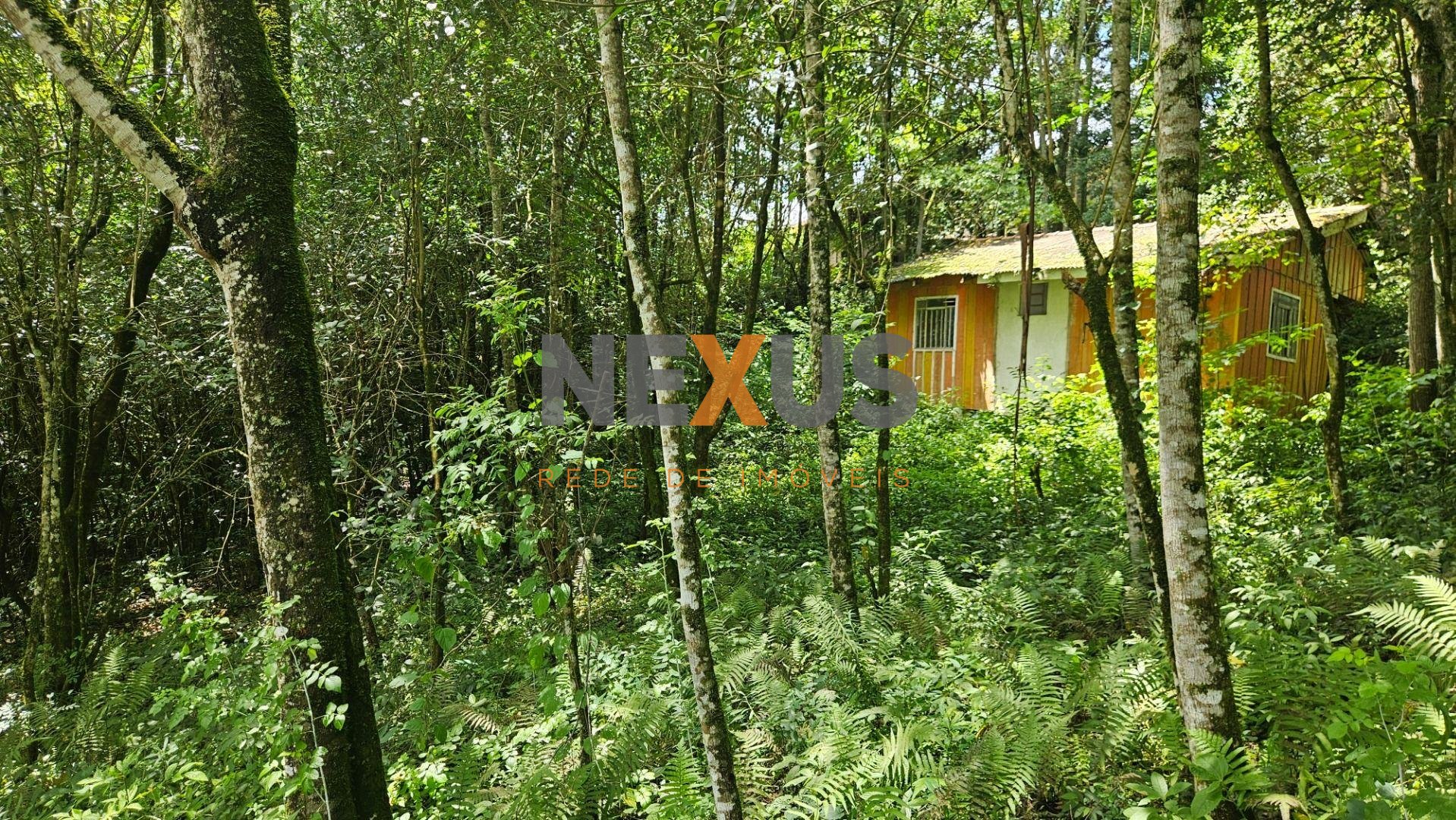 Chácara à venda, 11.000m  por R  980.000,00 São Miguel, ALMIRA...