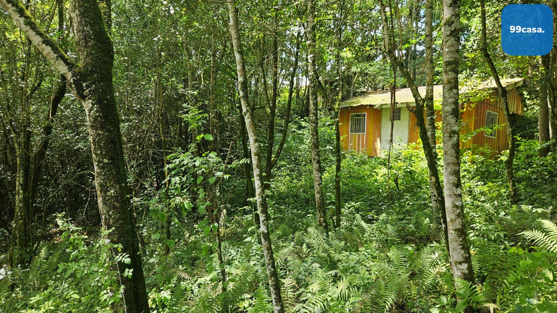 Chácara à venda, 11.000m  por R  720.000,00 São Miguel, ALMIRA...