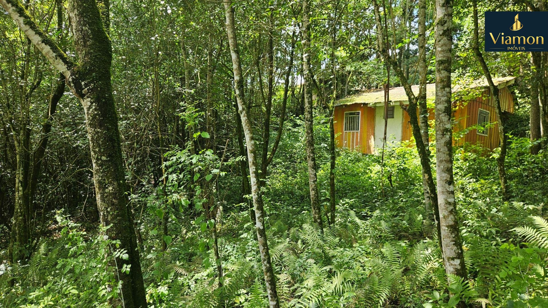 Apartamento com 4 dormit?rios ? venda,106.50 m , centro, CURIT...