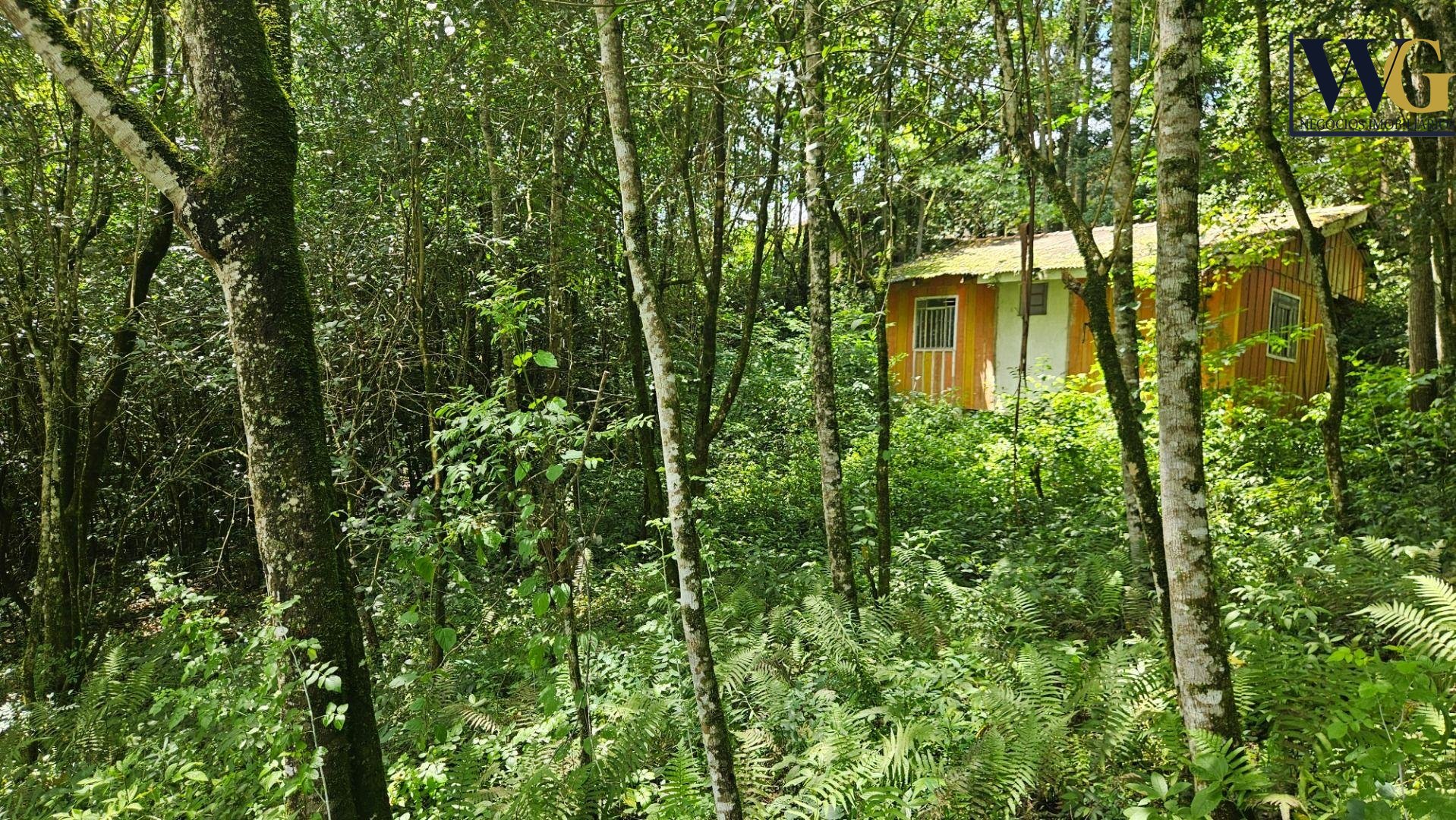 Chácara à venda, 11.000m  por R  980.000,00 São Miguel, ALMIRA...