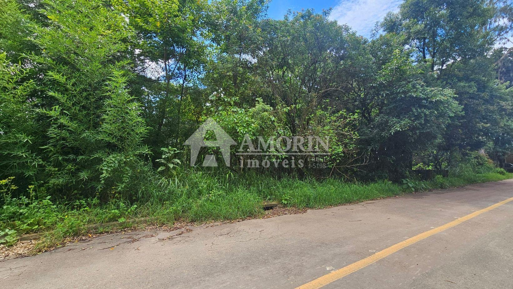 Terreno à venda,11.000m   por R  980.000,00 São Miguel, ALMIRA...
